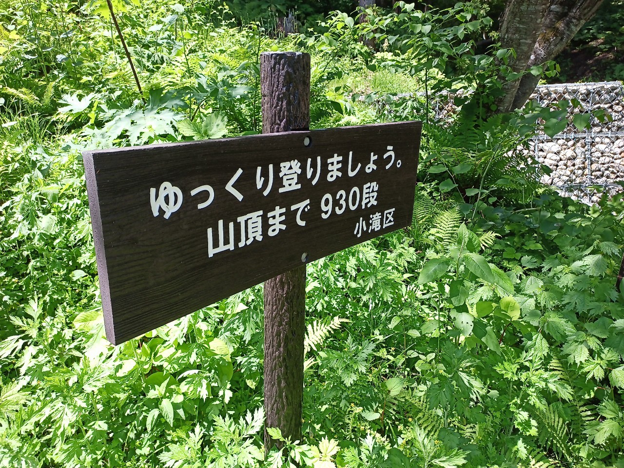 LINE_ALBUM_白鷹山20240608_240823_62