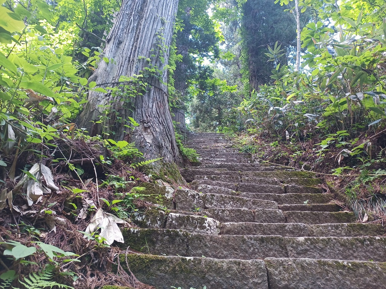 LINE_ALBUM_白鷹山20240608_240823_154