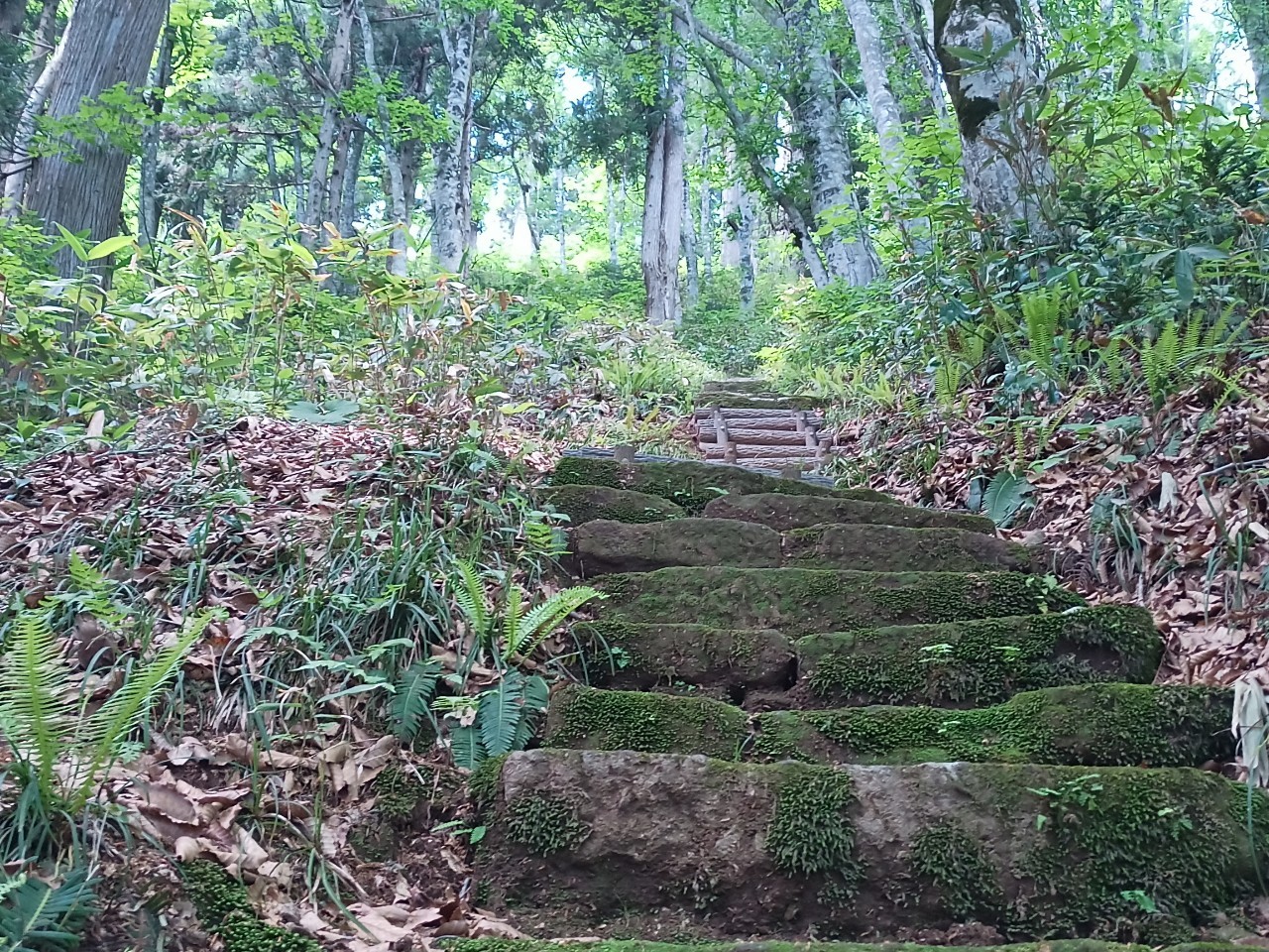 LINE_ALBUM_白鷹山20240608_240823_182