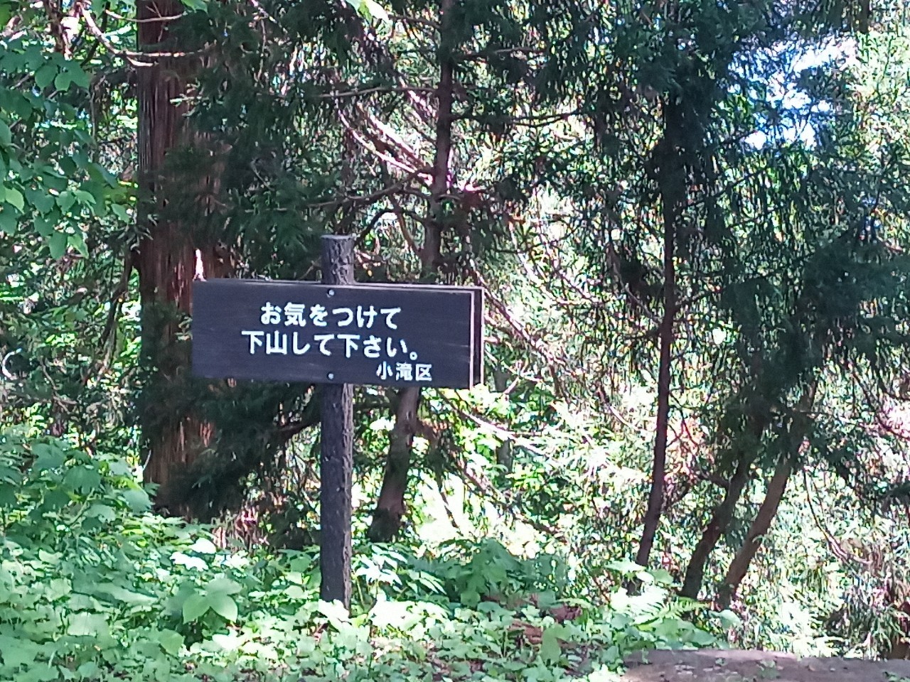 LINE_ALBUM_白鷹山20240608_240823_100