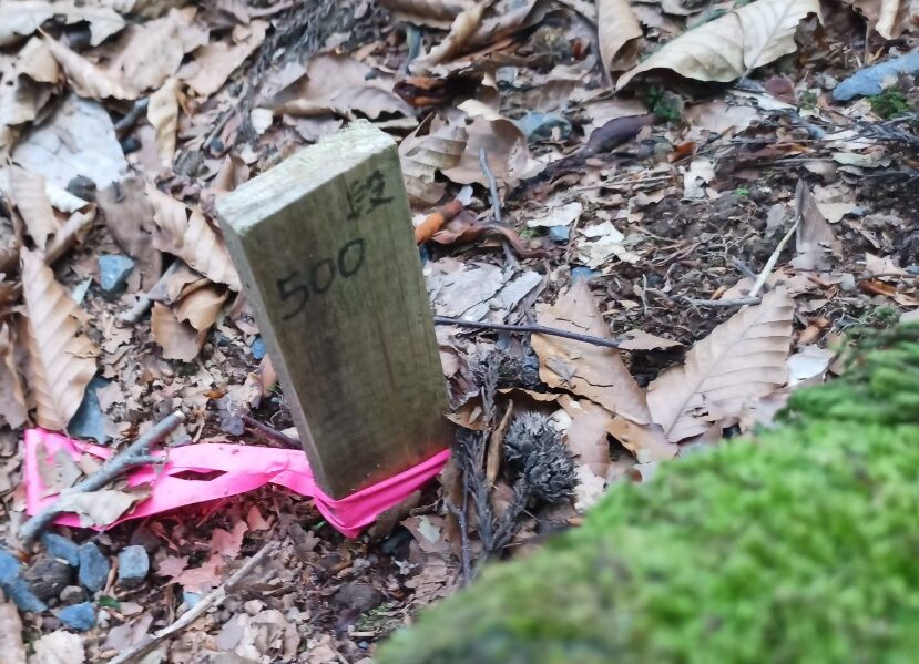 LINE_ALBUM_白鷹山20240608_240823_198