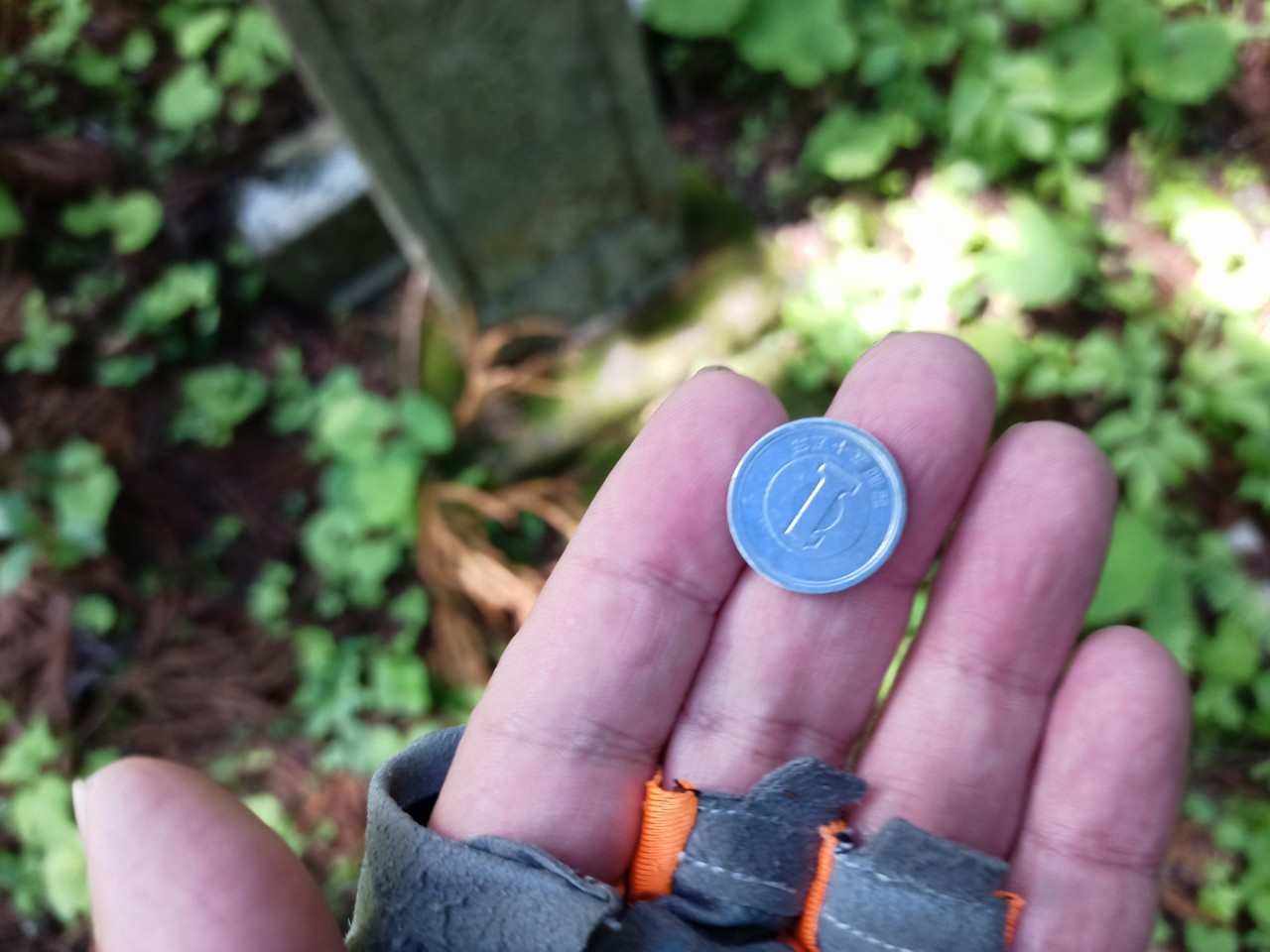 LINE_ALBUM_白鷹山20240608_240823_68