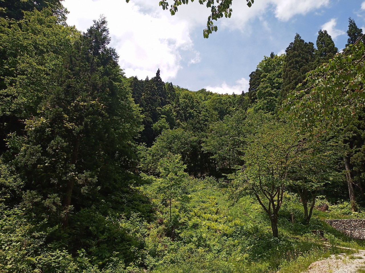 LINE_ALBUM_白鷹山20240608_240823_246