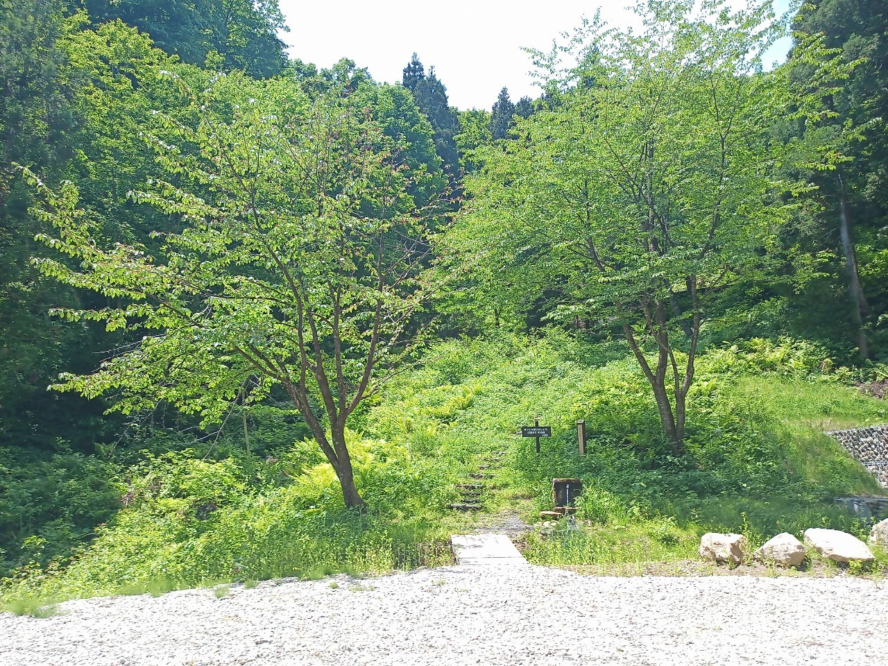 LINE_ALBUM_白鷹山20240608_240823_242