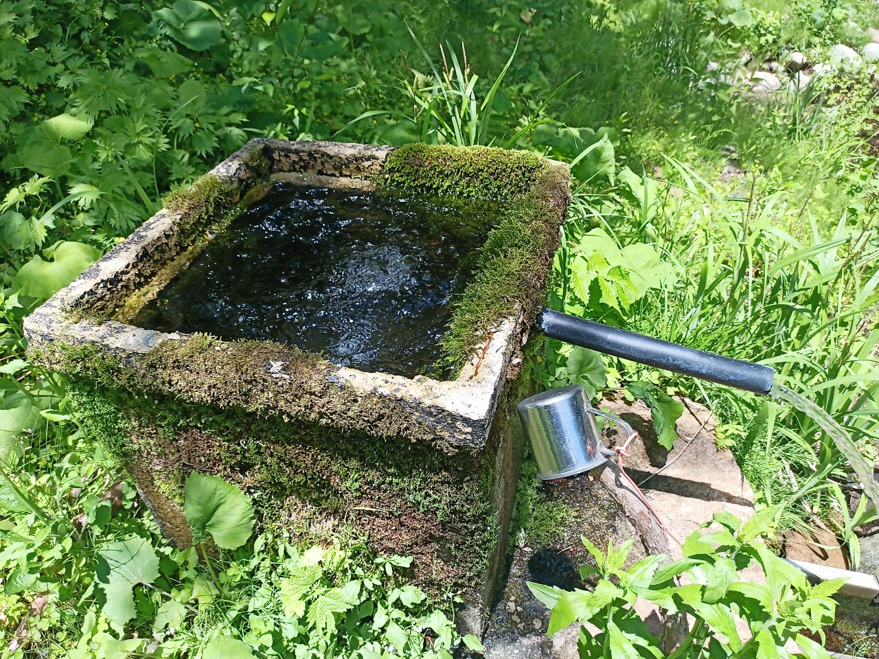 LINE_ALBUM_白鷹山20240608_240823_238