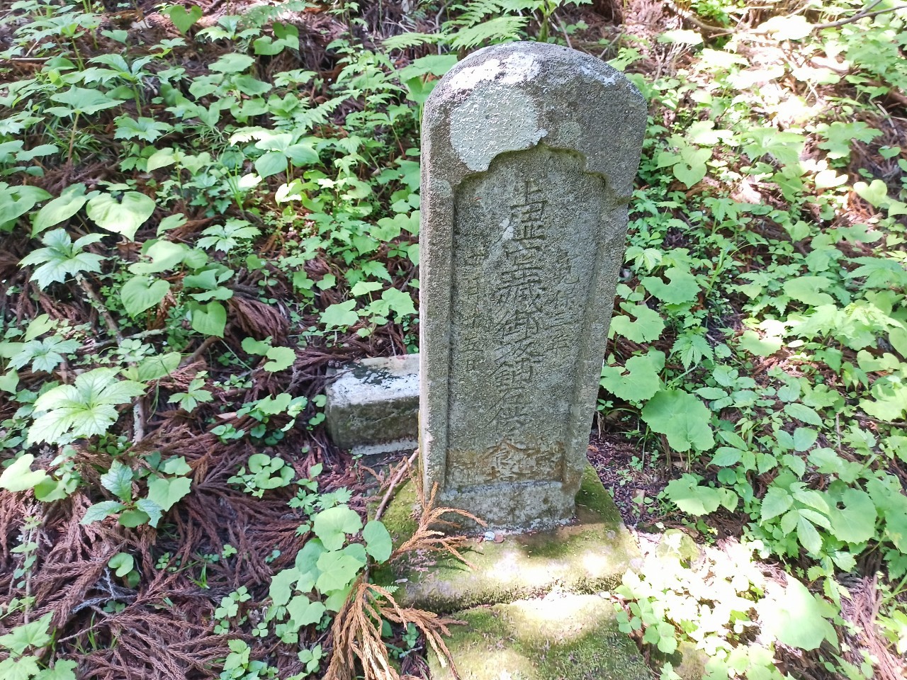 LINE_ALBUM_白鷹山20240608_240823_66