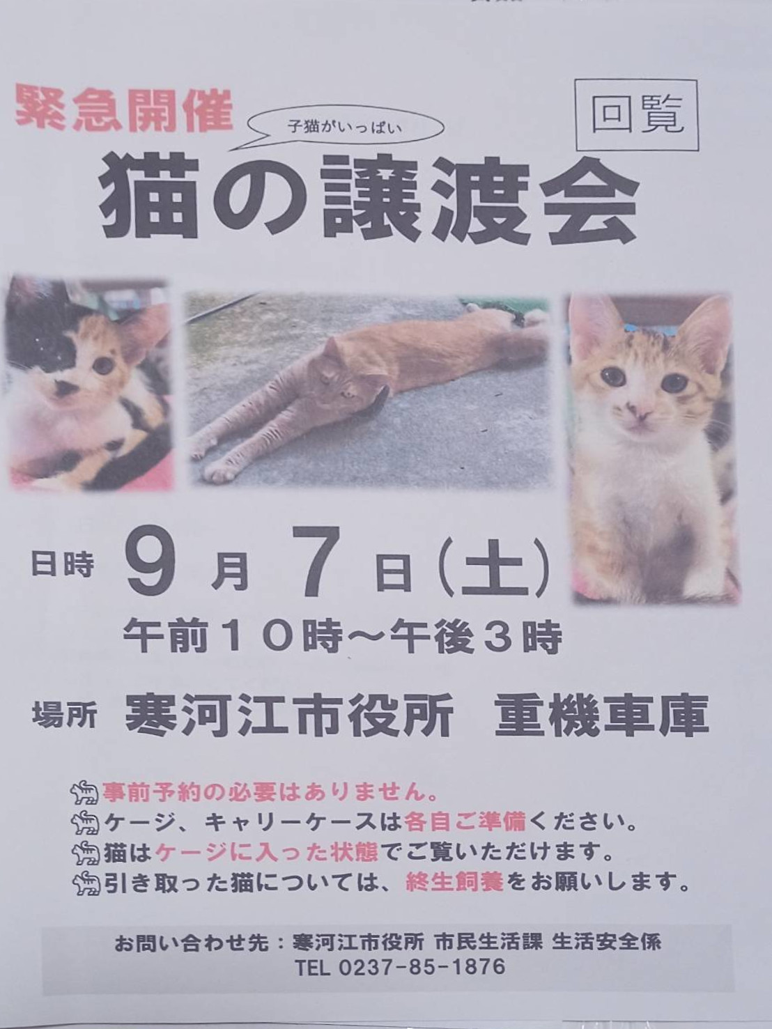 【山形イベント情報】寒河江市で猫の譲渡会が 2024/09/07 に緊急開催されますにゃ！=^_^=