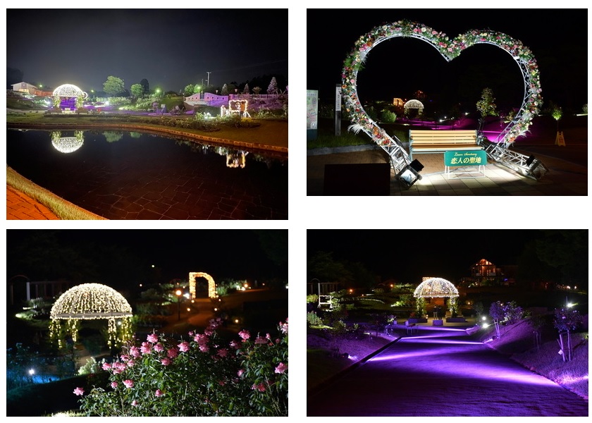 バラライトアップ