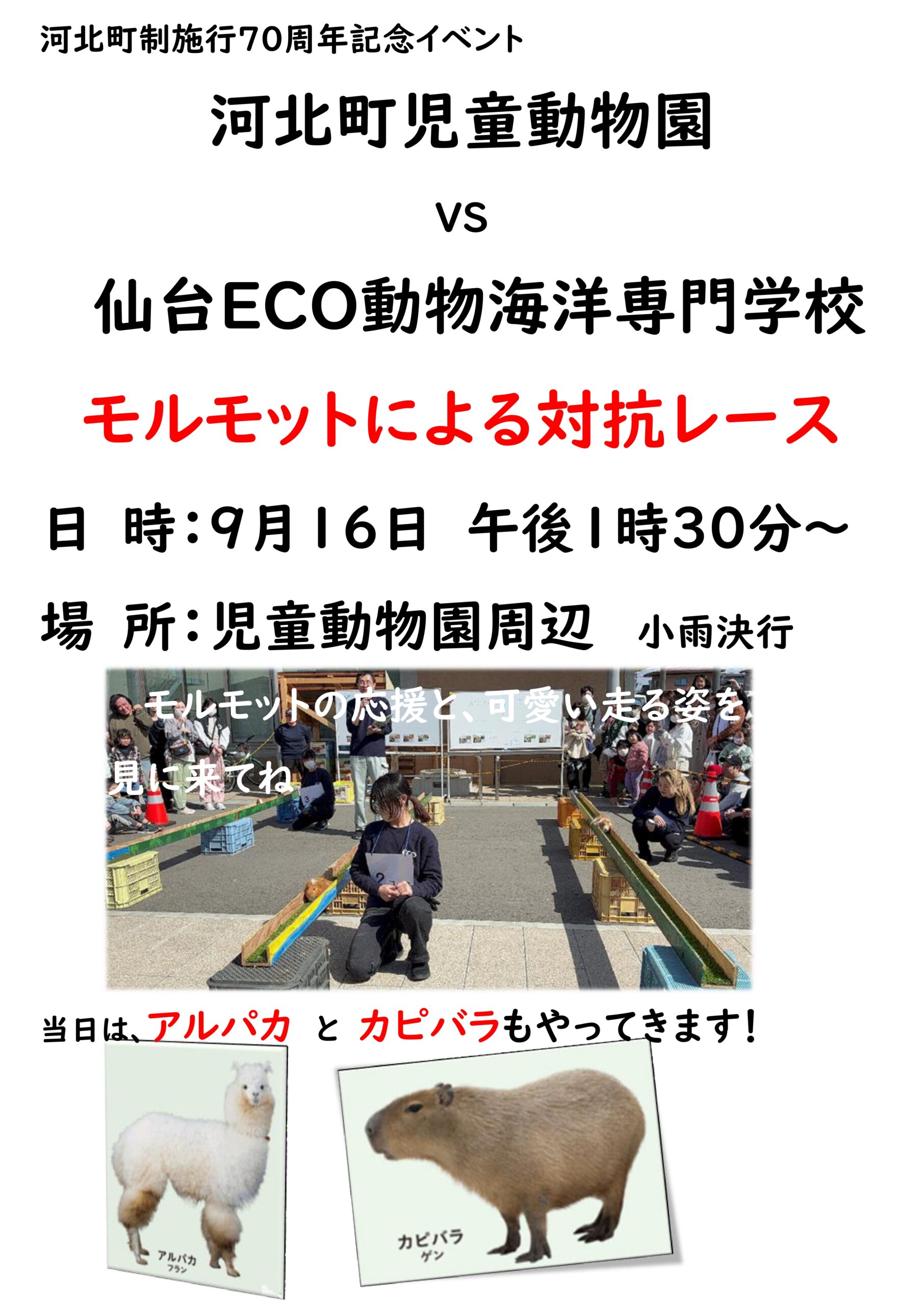 【山形イベント情報9/16】河北町児童動物園vs仙台ECO動物海洋専門学校 対抗モルモットレース！