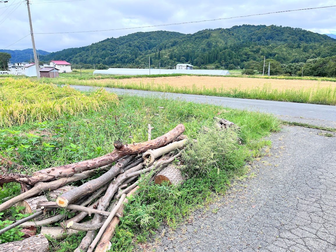 こしゃる_外観4