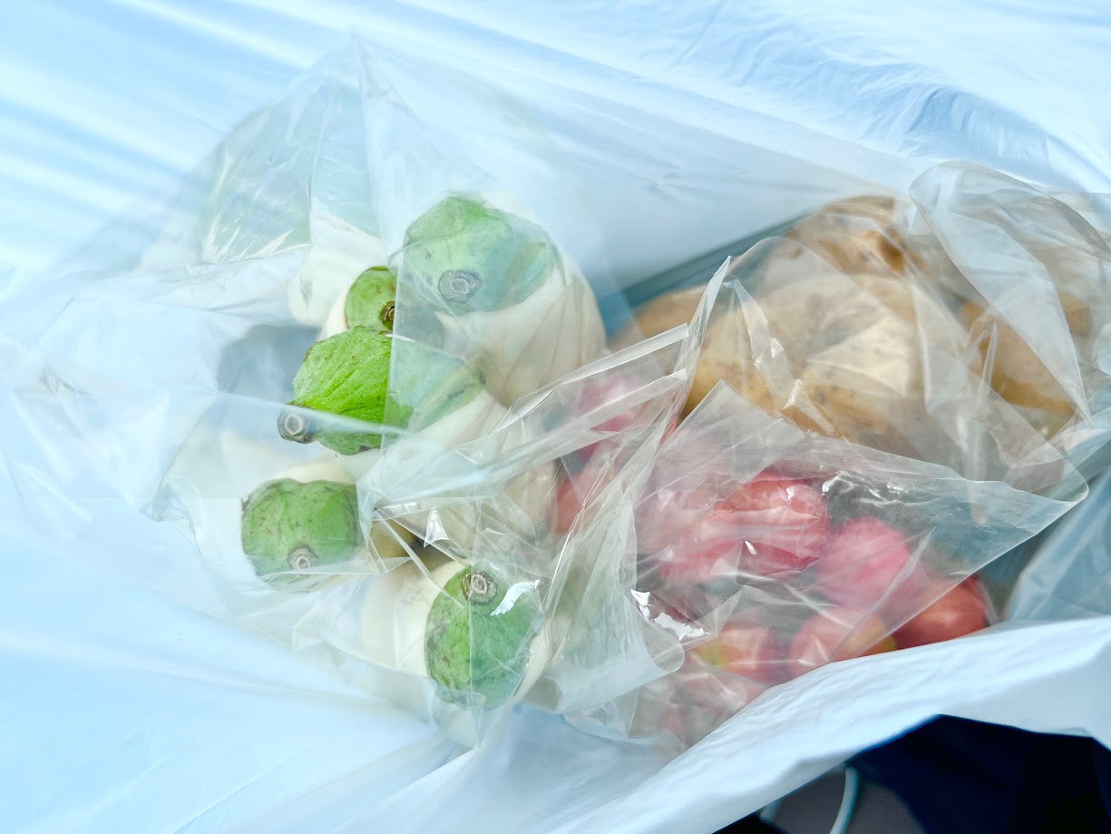 野菜産土_購入品