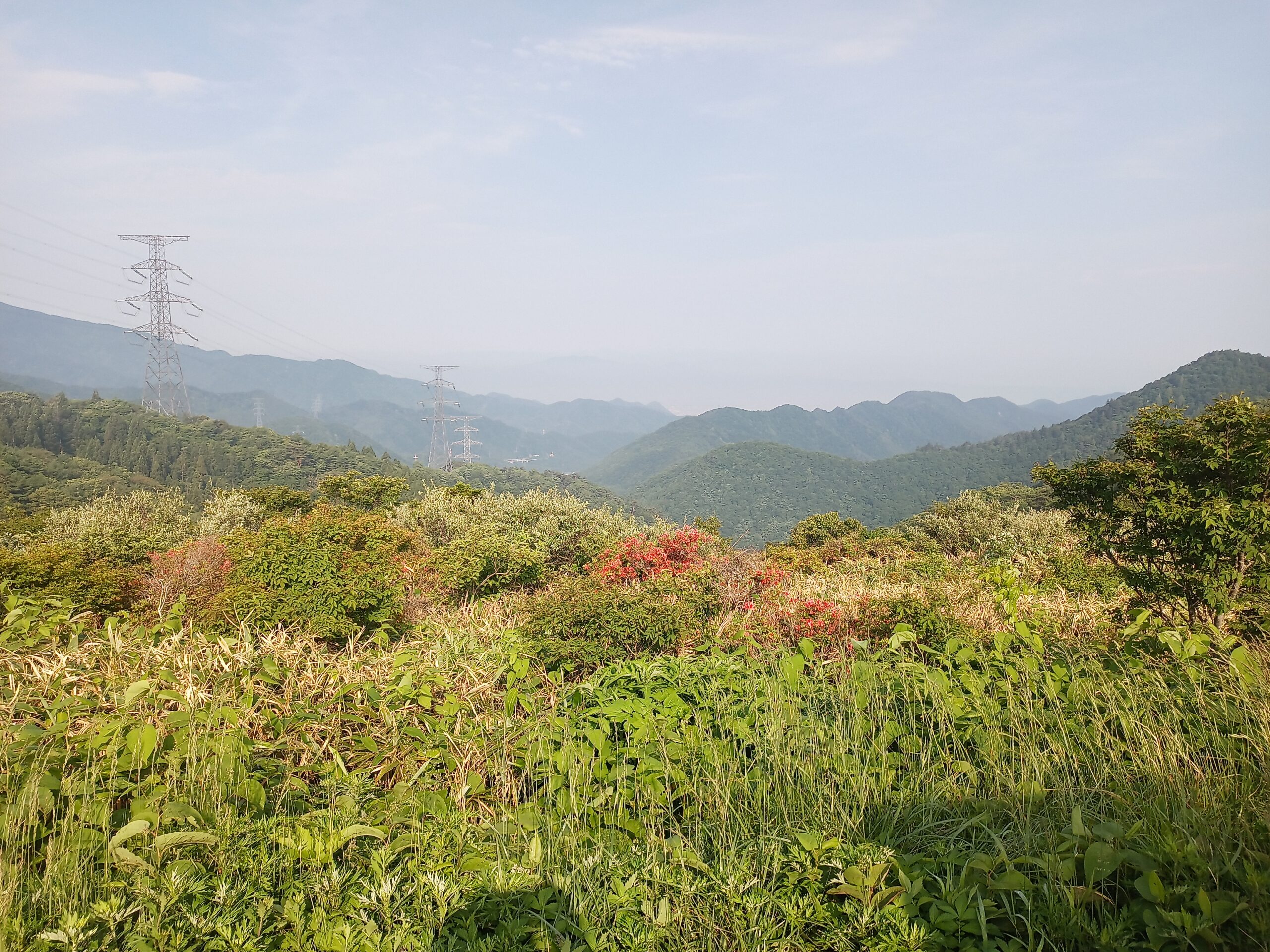 IMG_20240615_070809_058