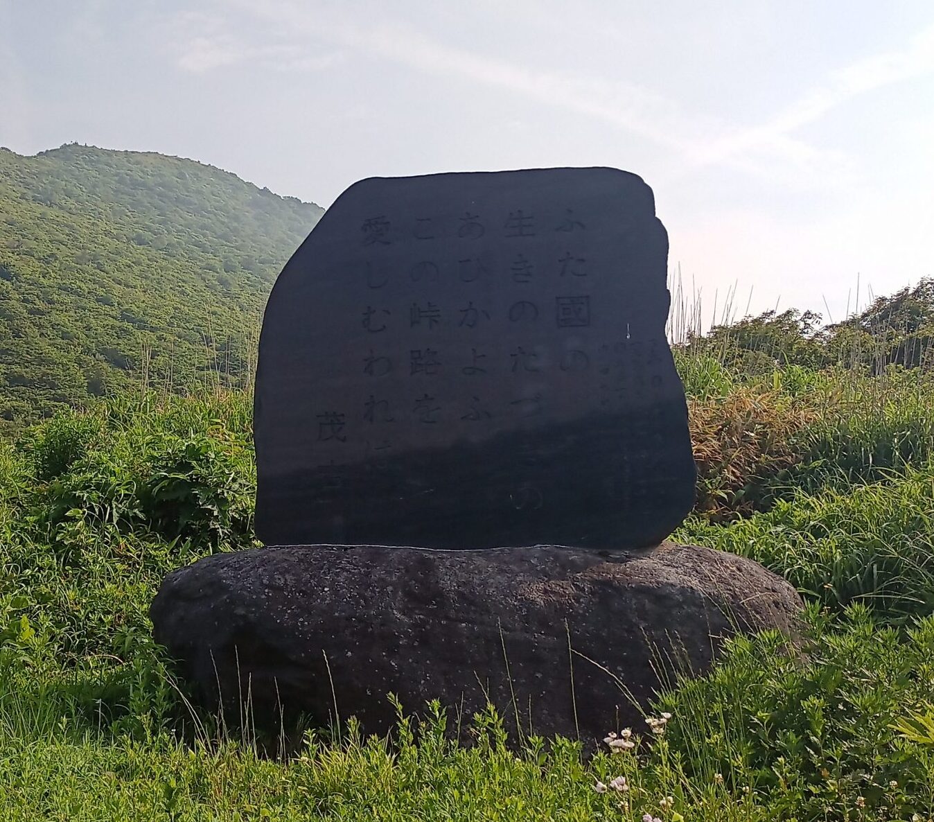 IMG_20240615_074212_931