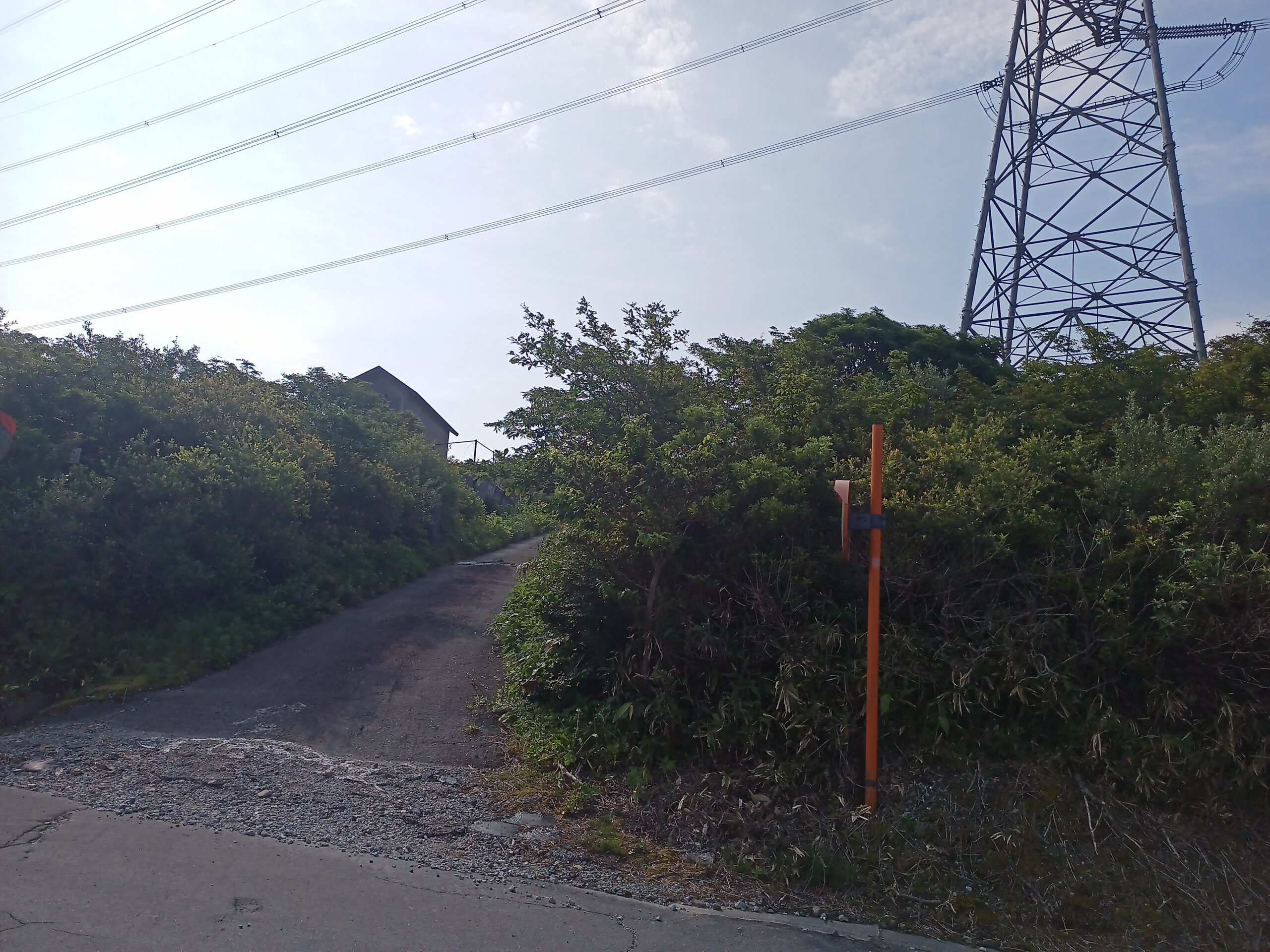 IMG_20240615_074221_998