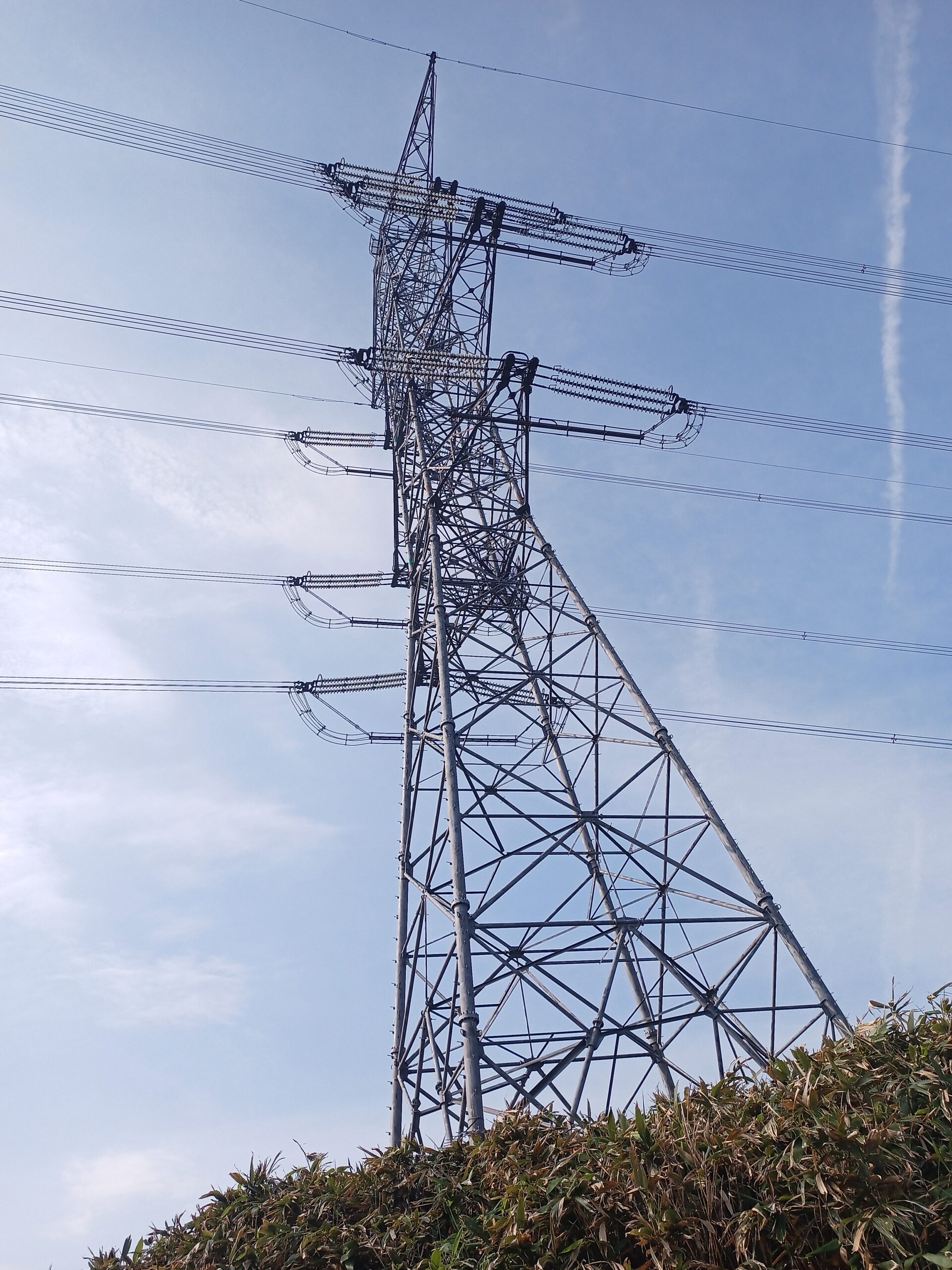 IMG_20240615_074306_792