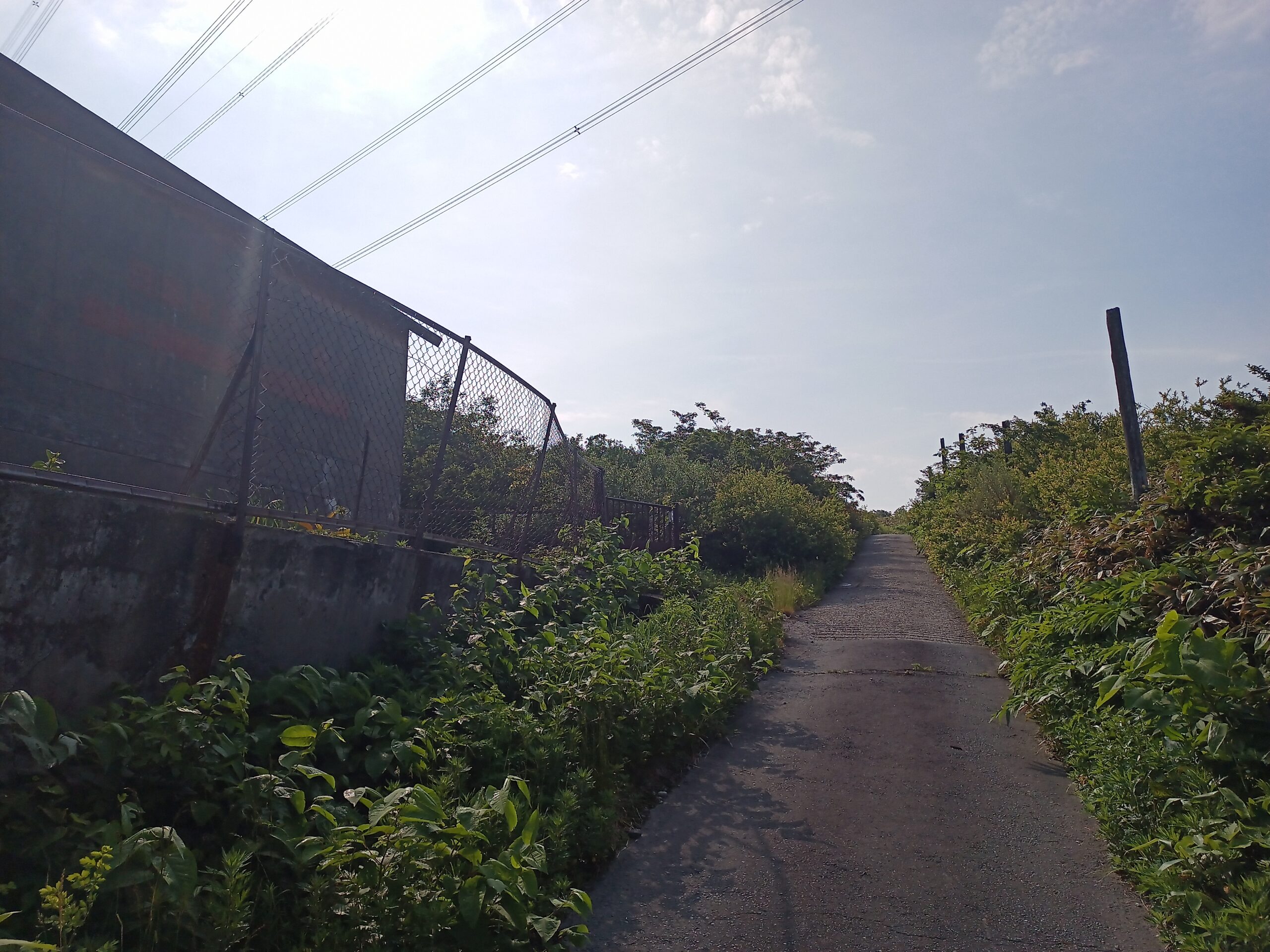 IMG_20240615_074312_947