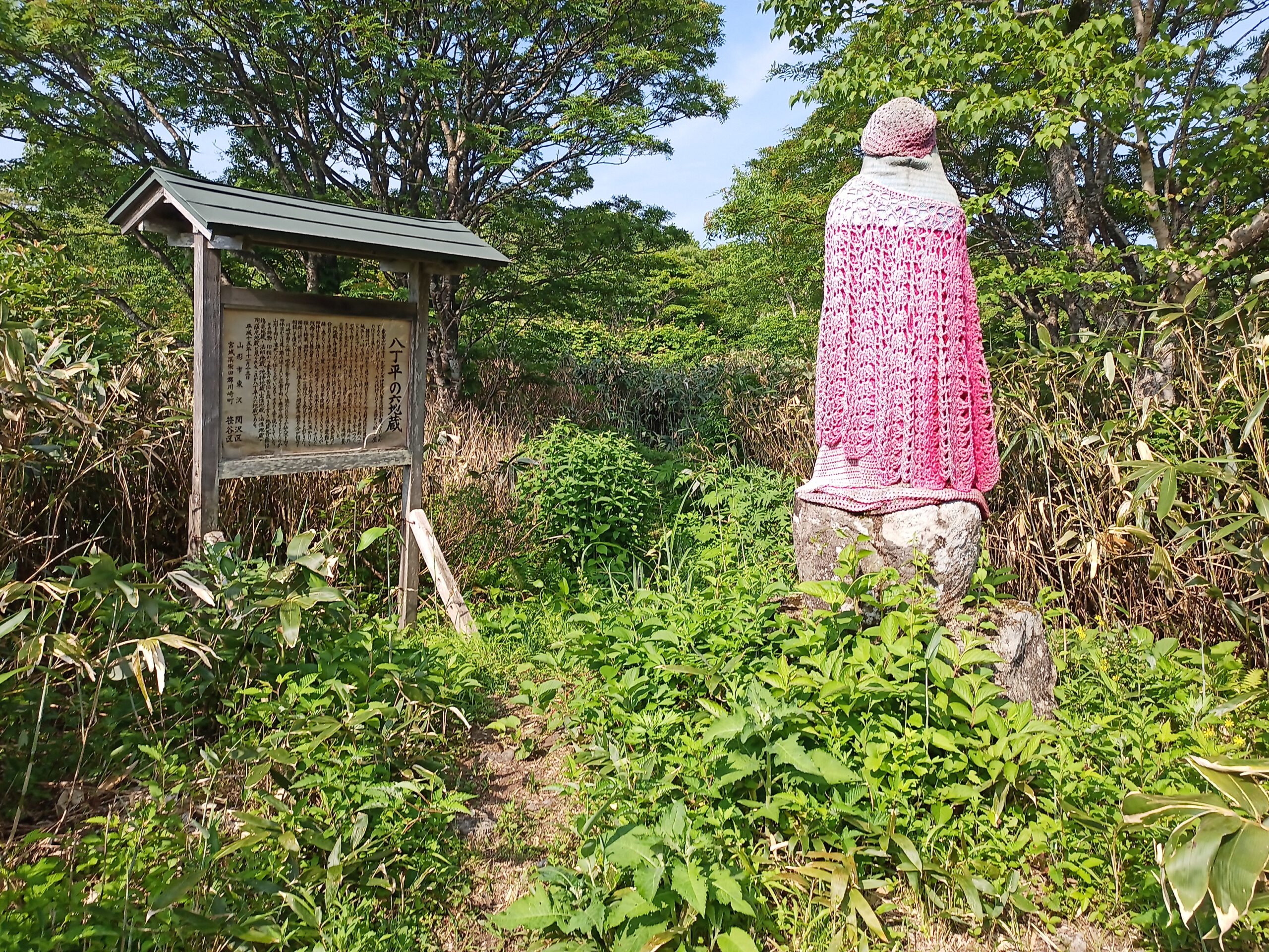 IMG_20240615_075054_729