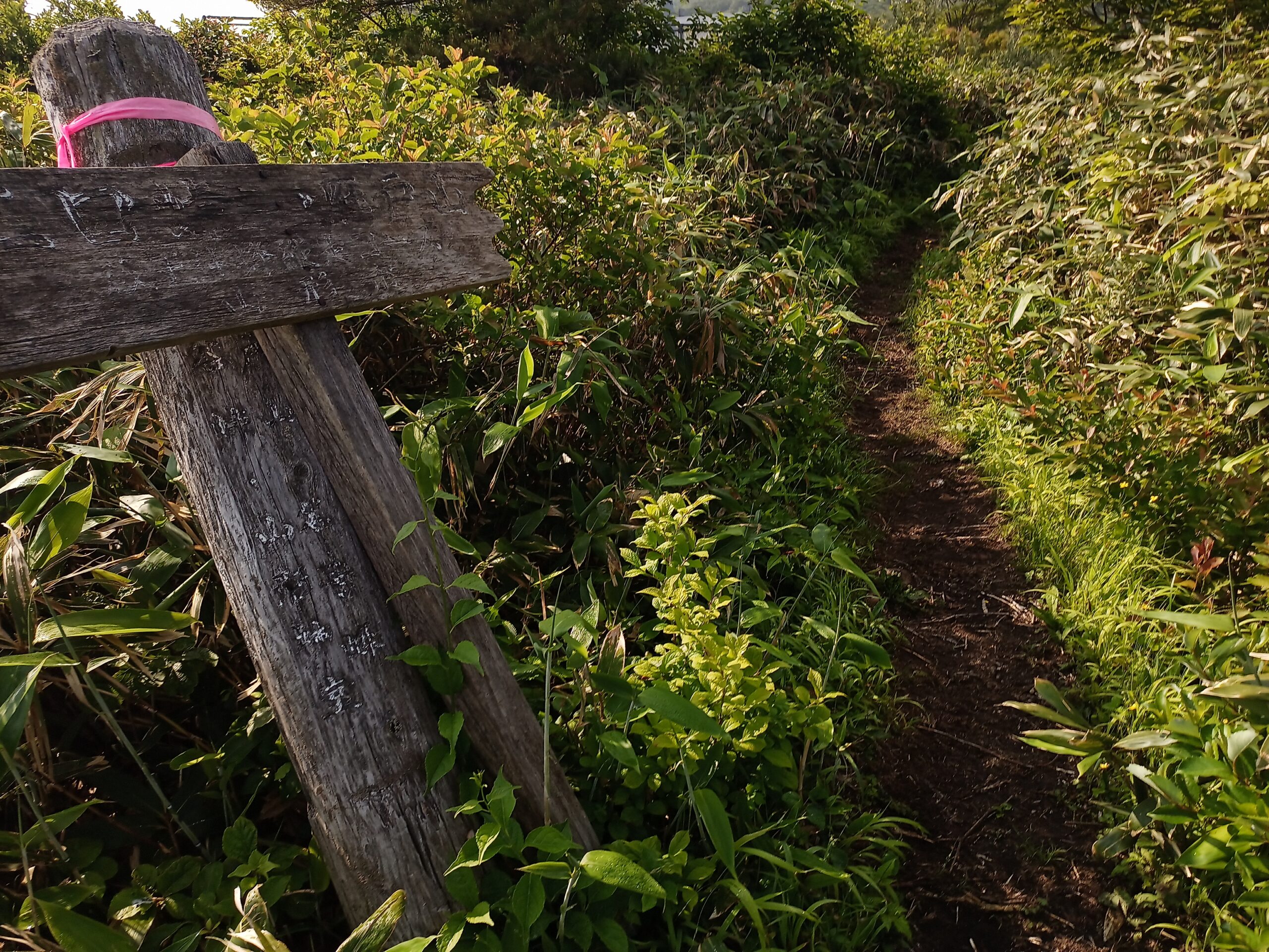 IMG_20240615_080030_210