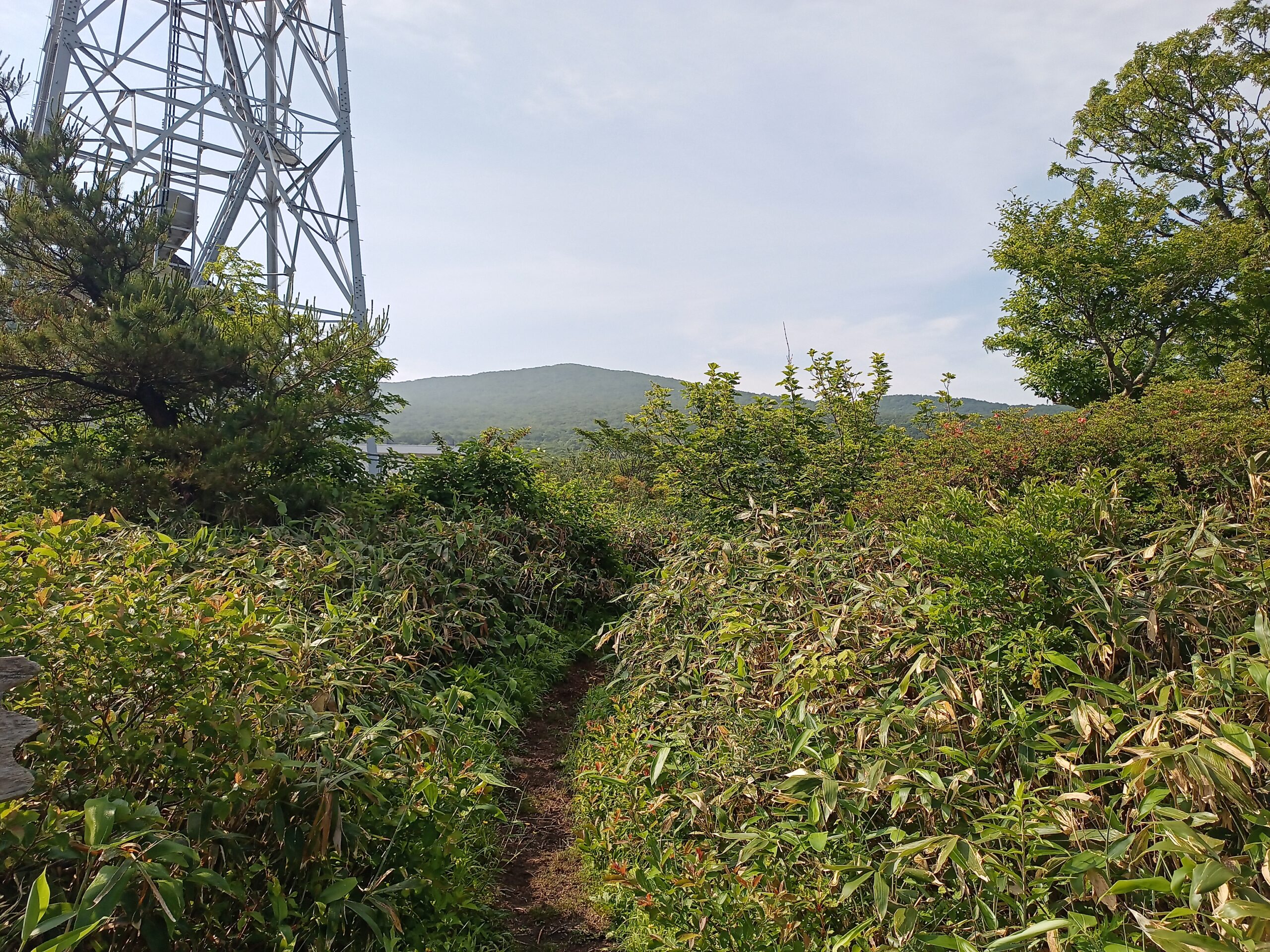 IMG_20240615_080109_041