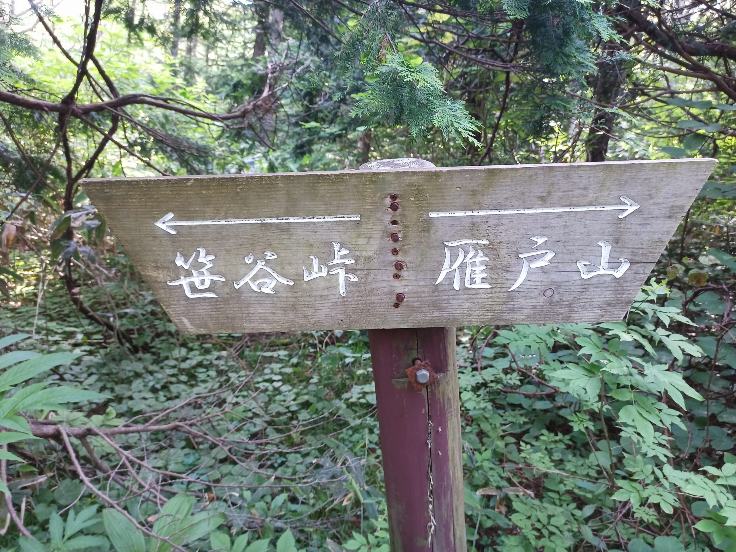 IMG_20240615_082555_484