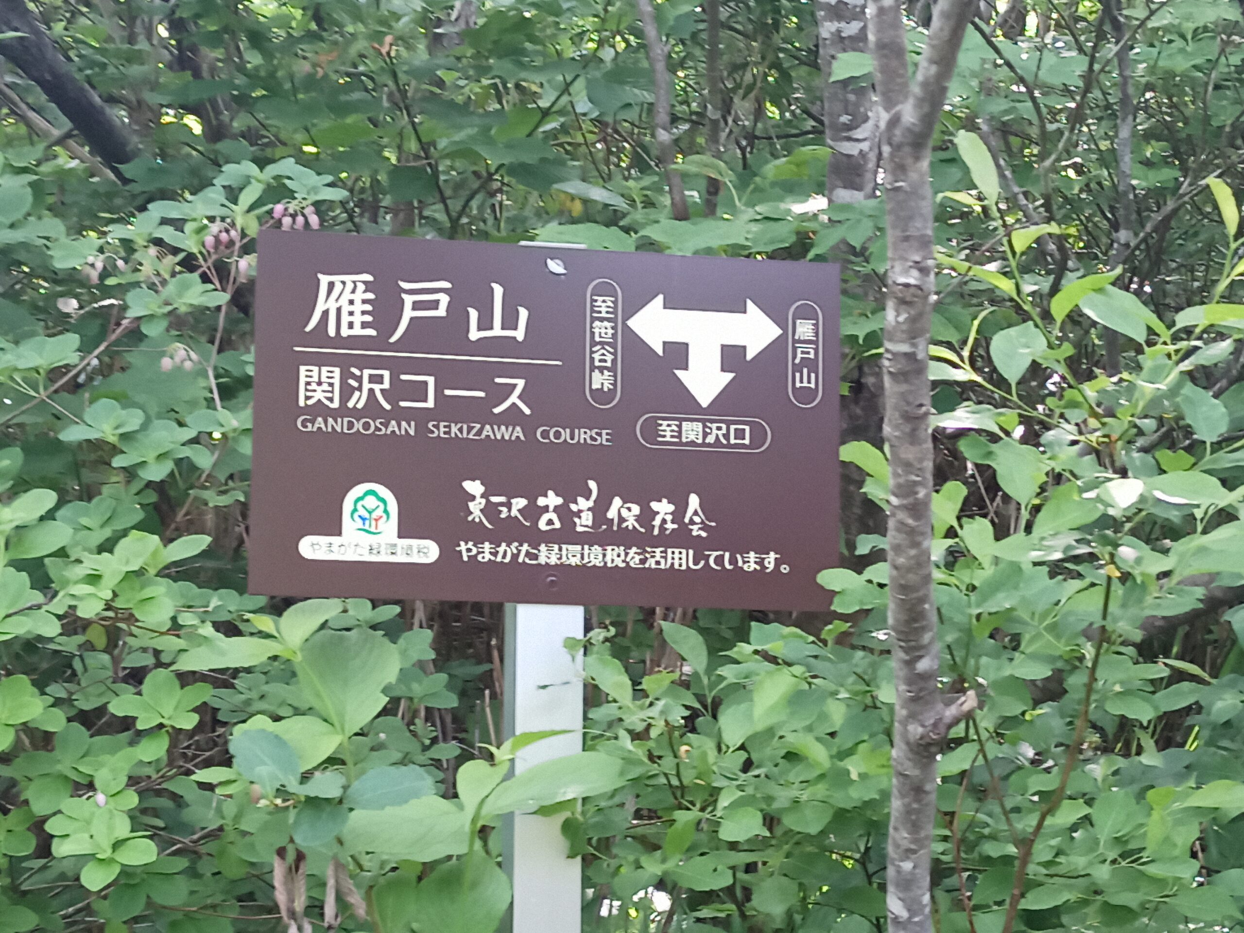 IMG_20240615_083823_442