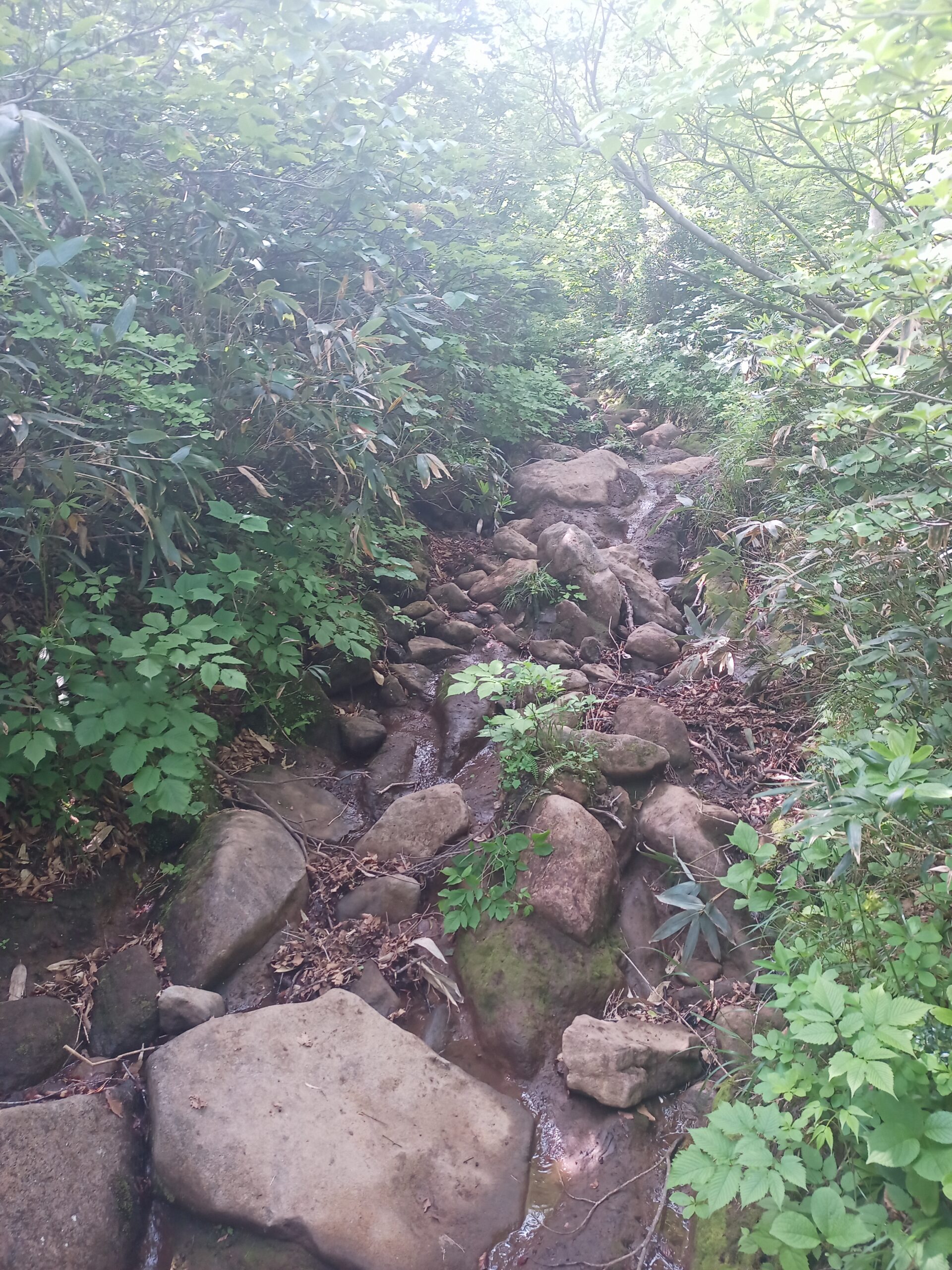 IMG_20240615_091024_834