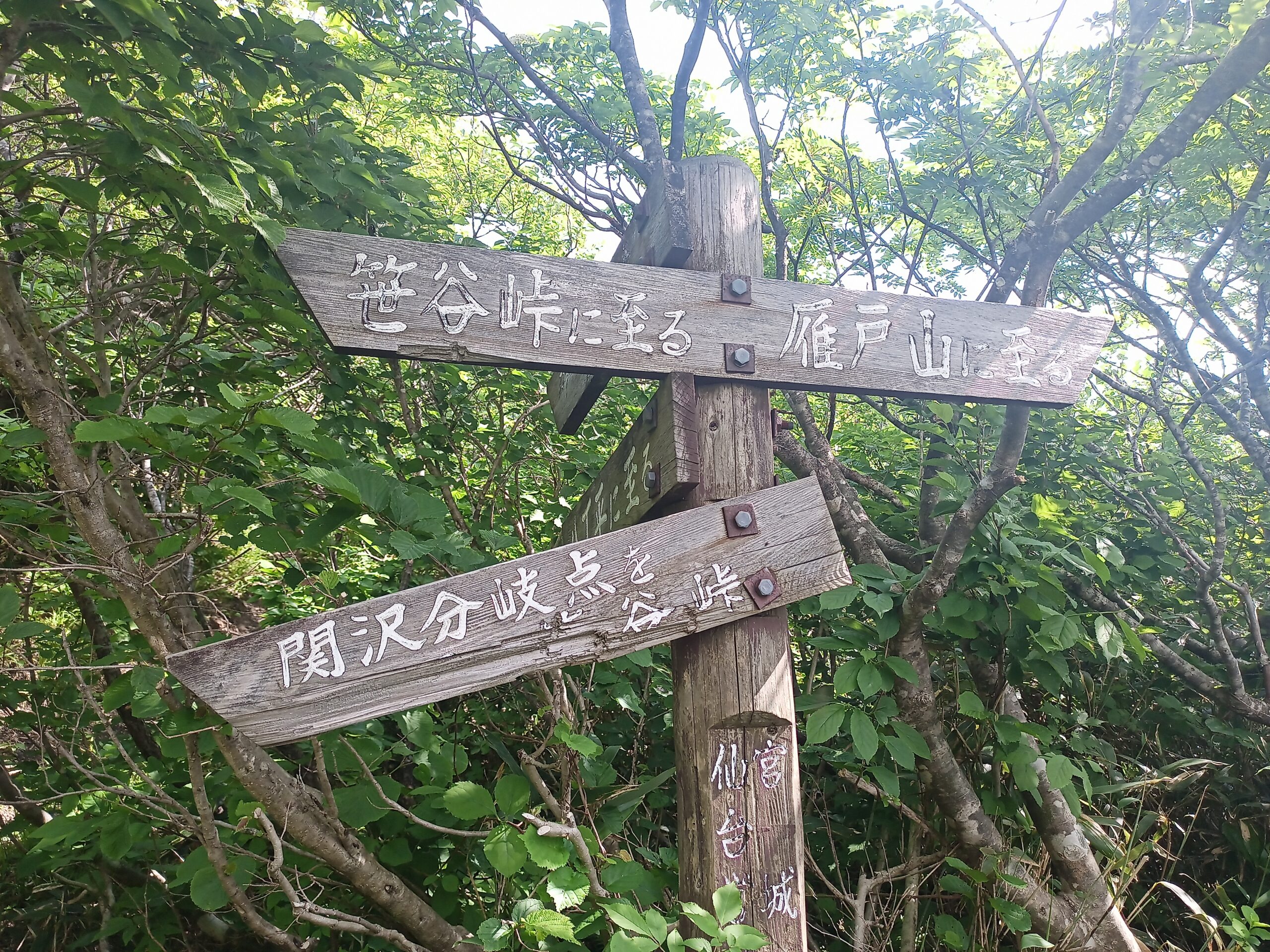 IMG_20240615_093508_348