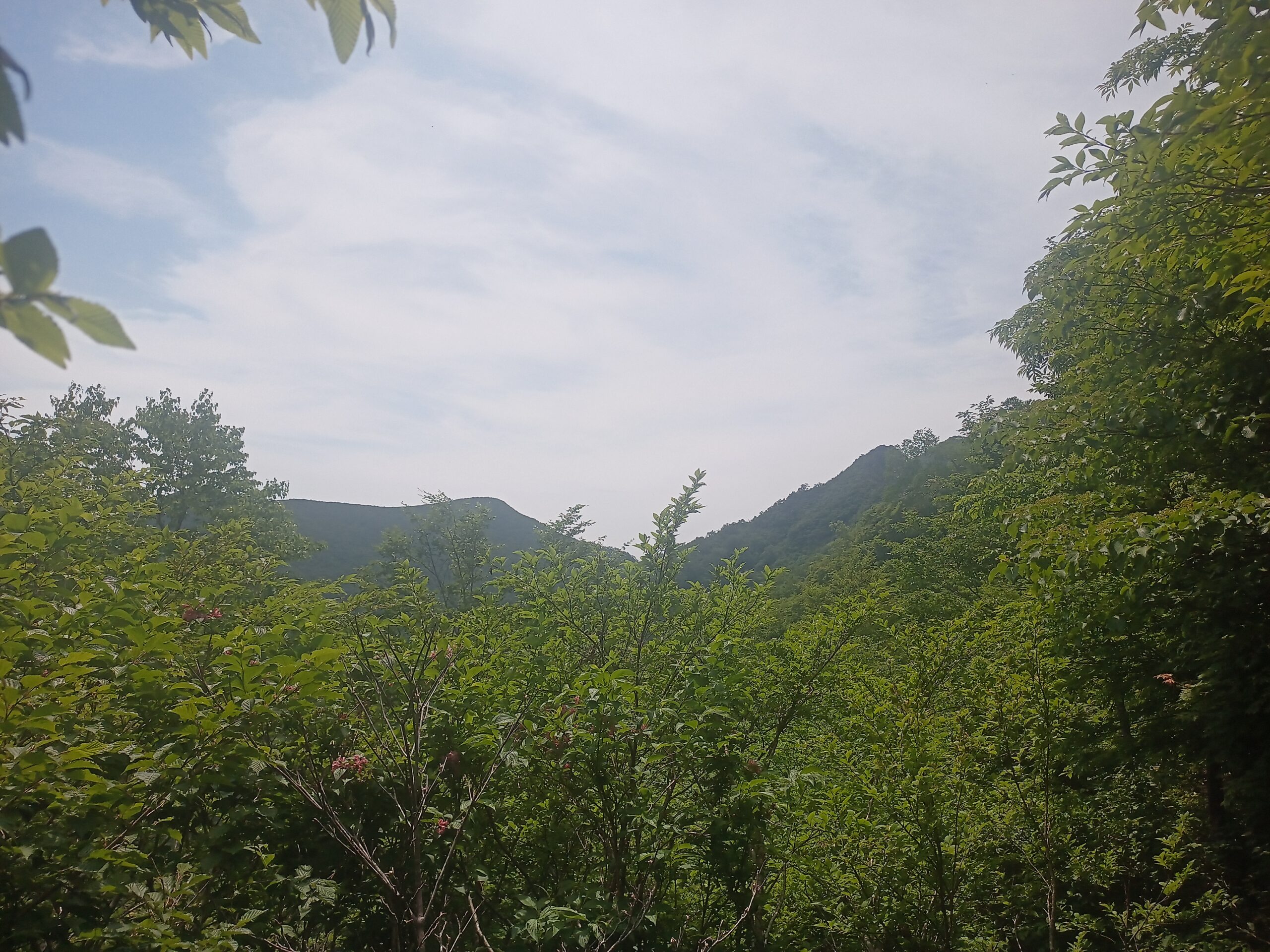 IMG_20240615_094408_036