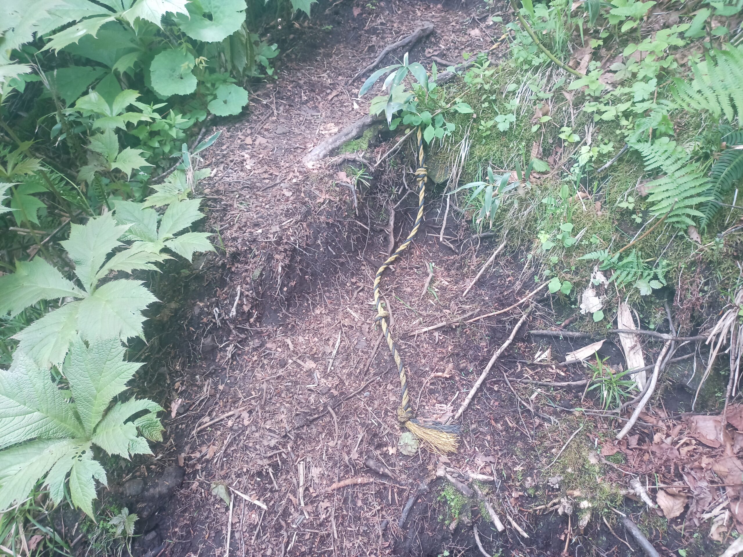 IMG_20240615_095154_703