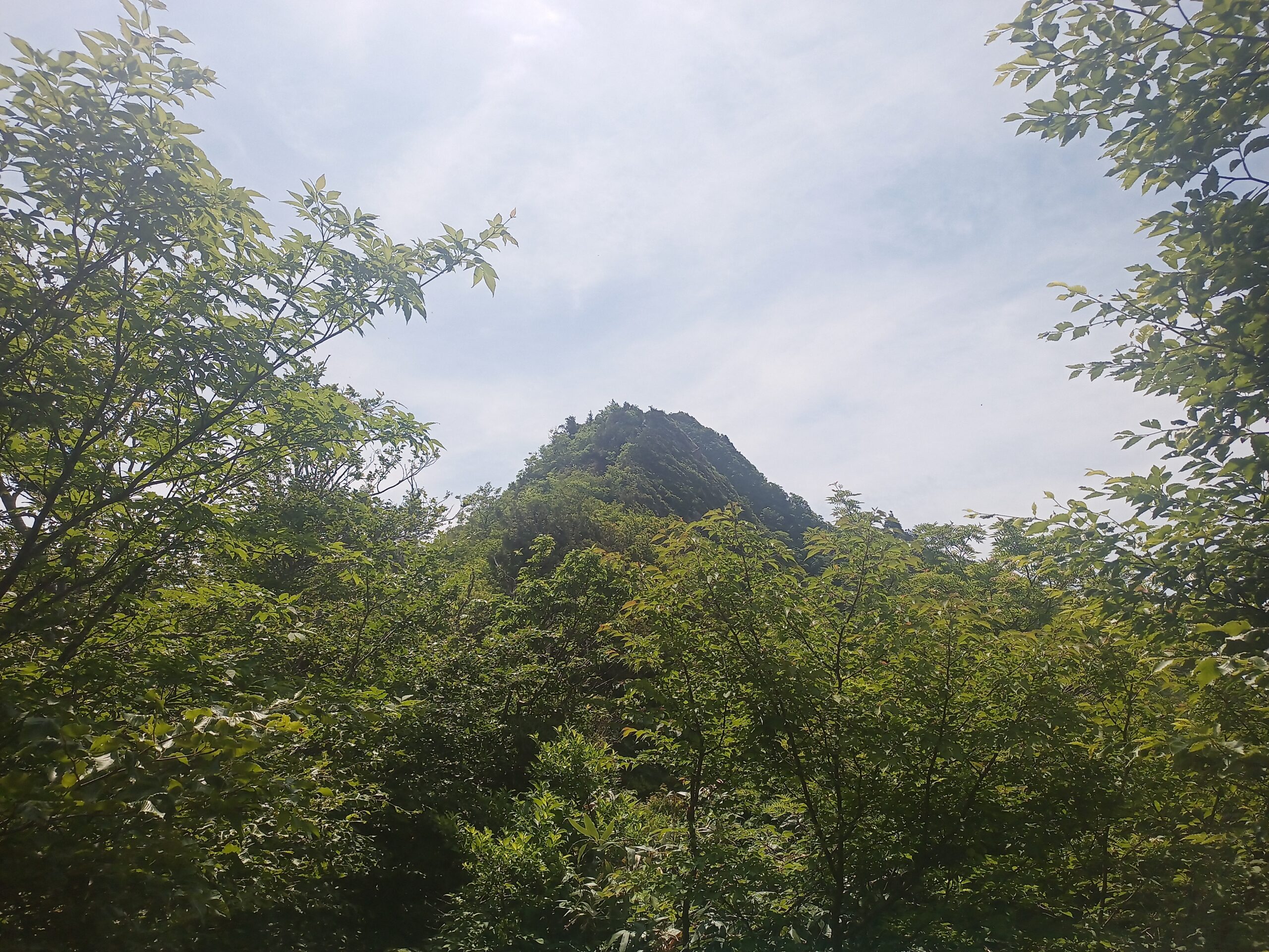 IMG_20240615_100628_857