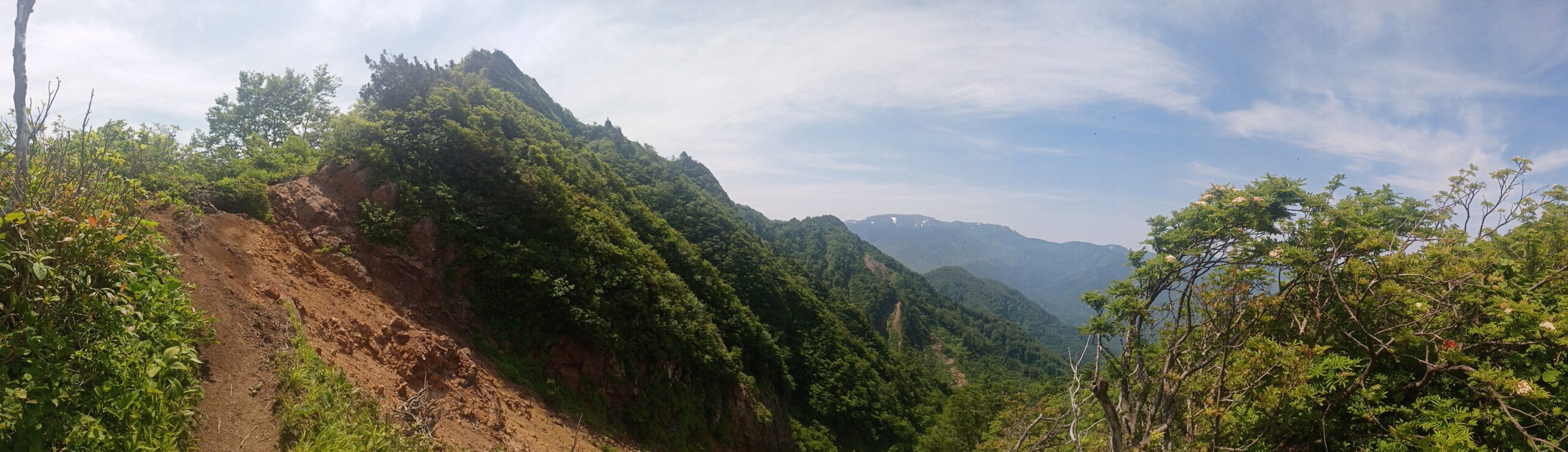 IMG_20240615_100807_0