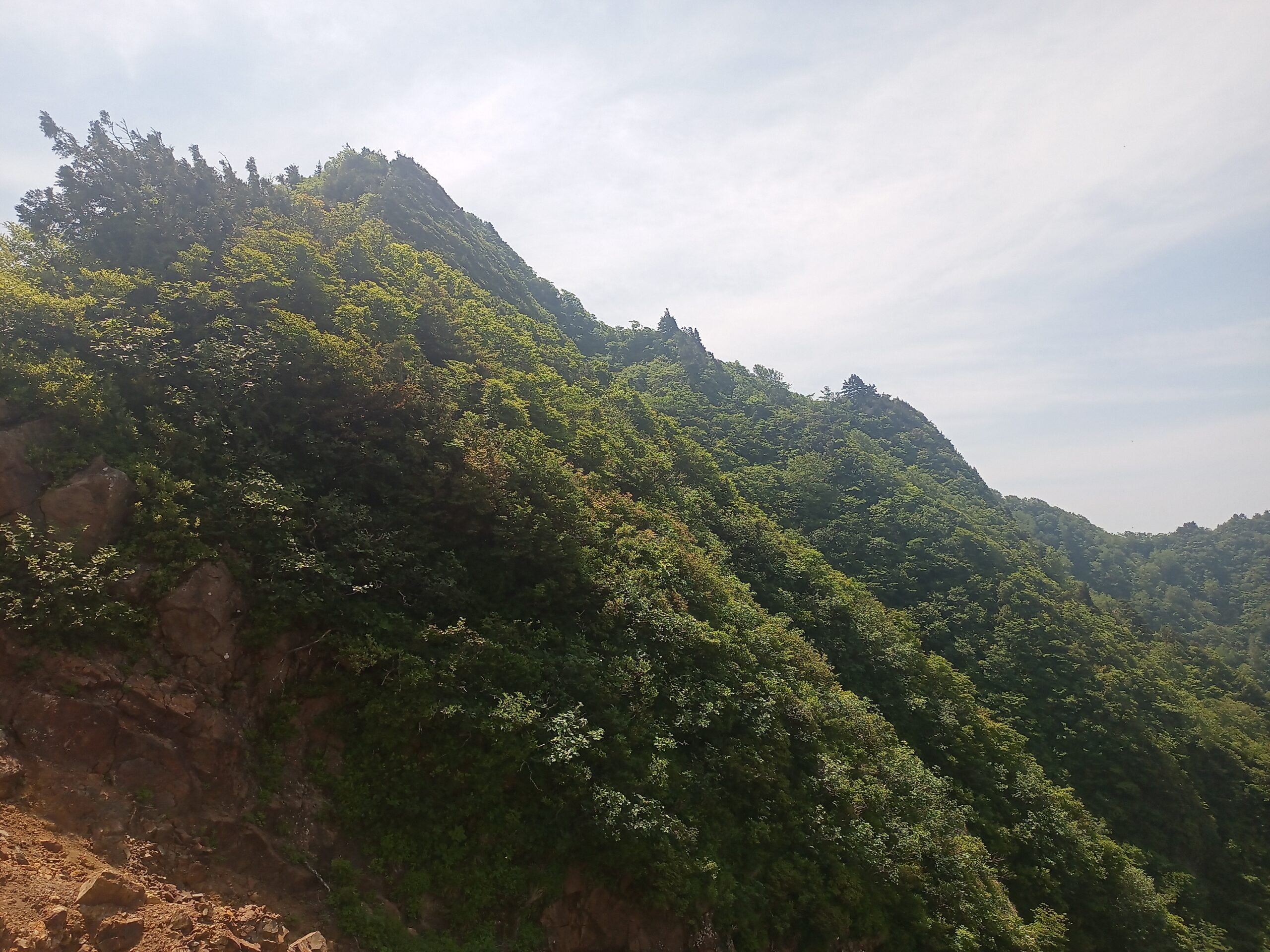 IMG_20240615_100842_037