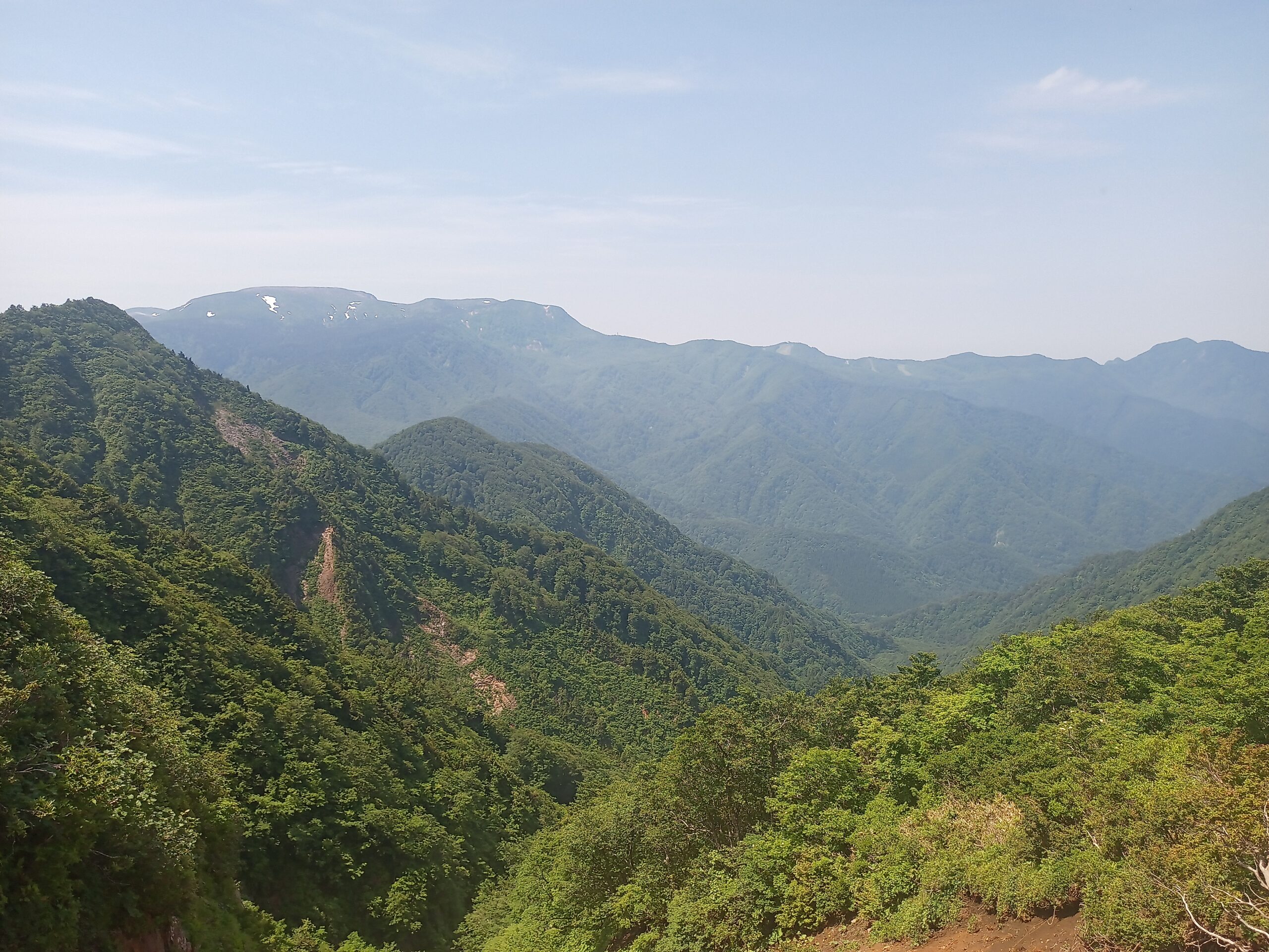 IMG_20240615_101000_594