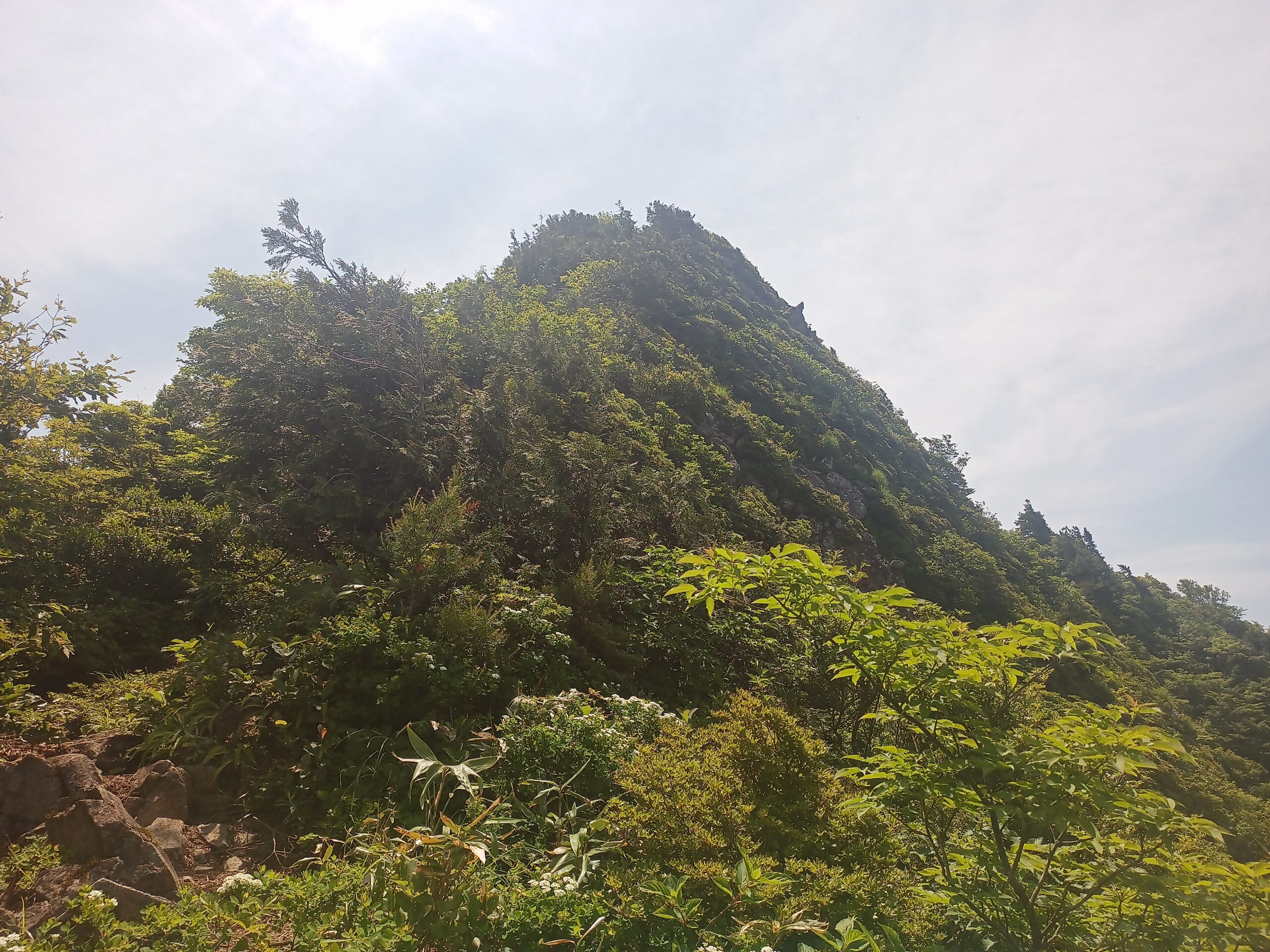 IMG_20240615_101412_547