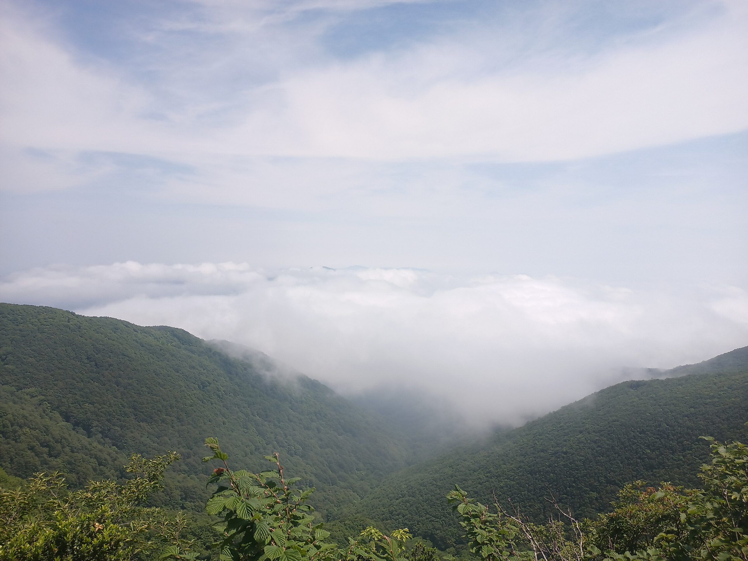 IMG_20240615_101848_618