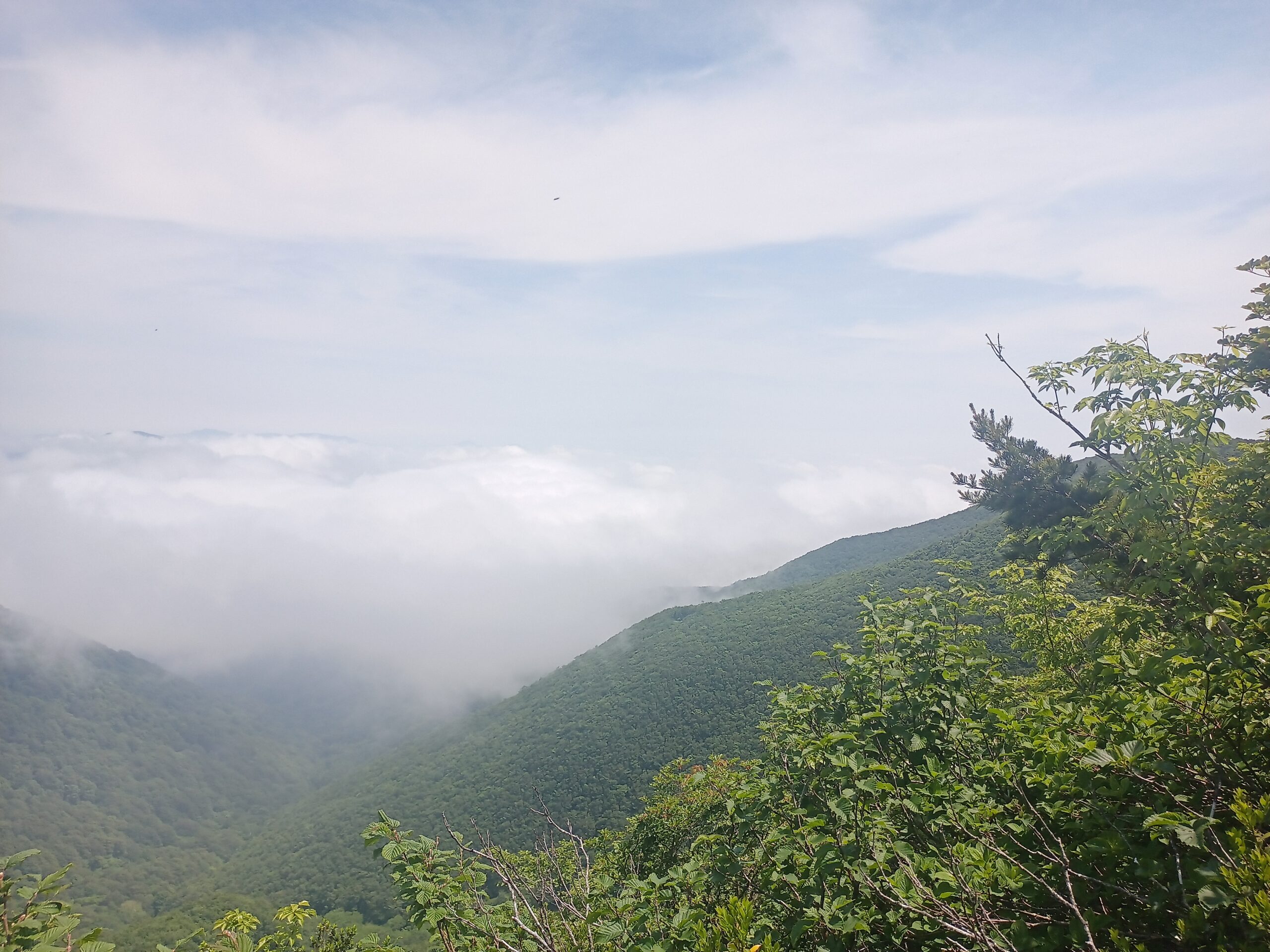 IMG_20240615_101851_009