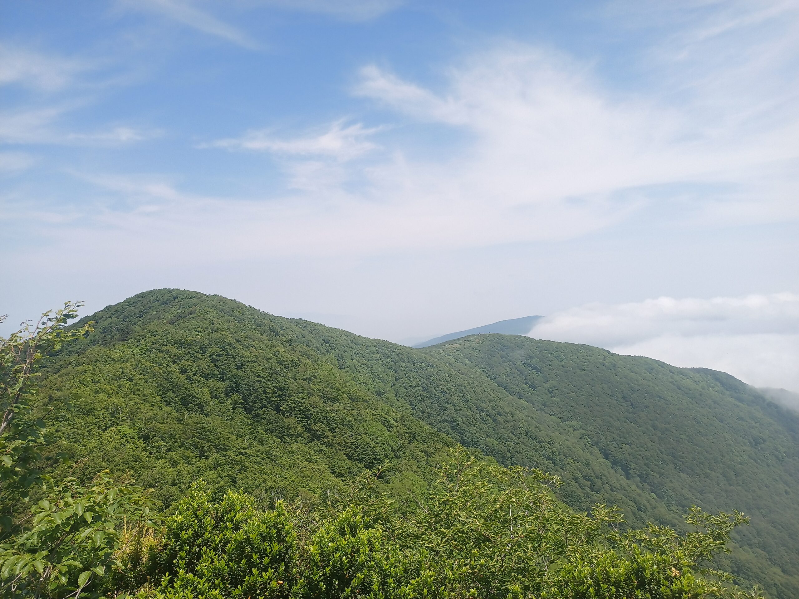 IMG_20240615_101853_719