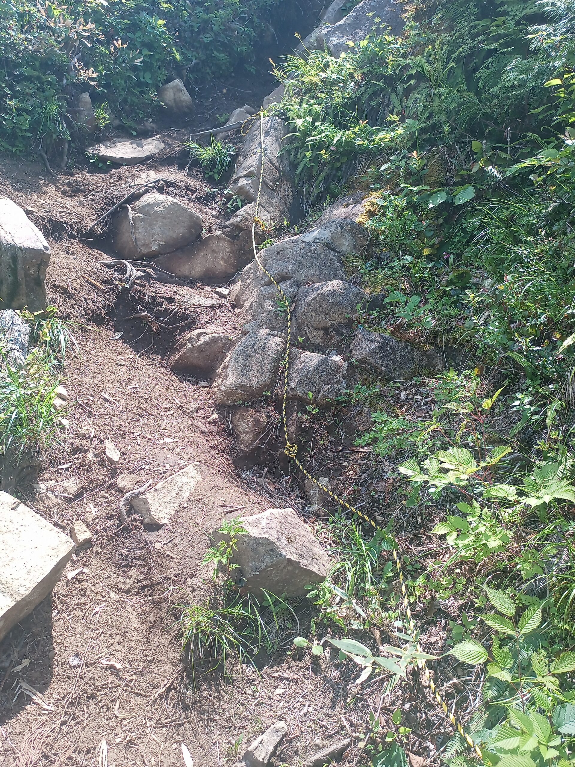 IMG_20240615_101930_031