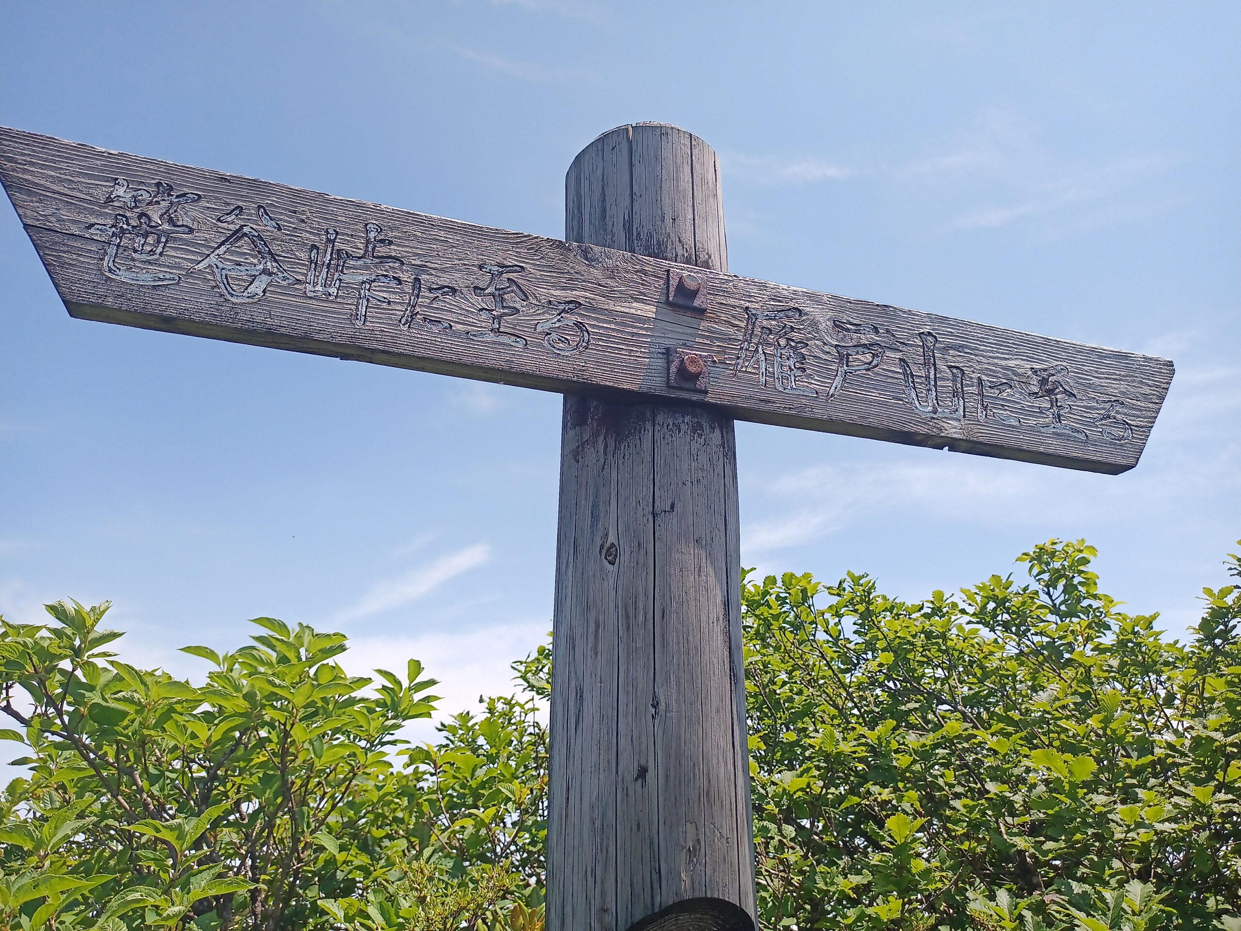 IMG_20240615_104031_663