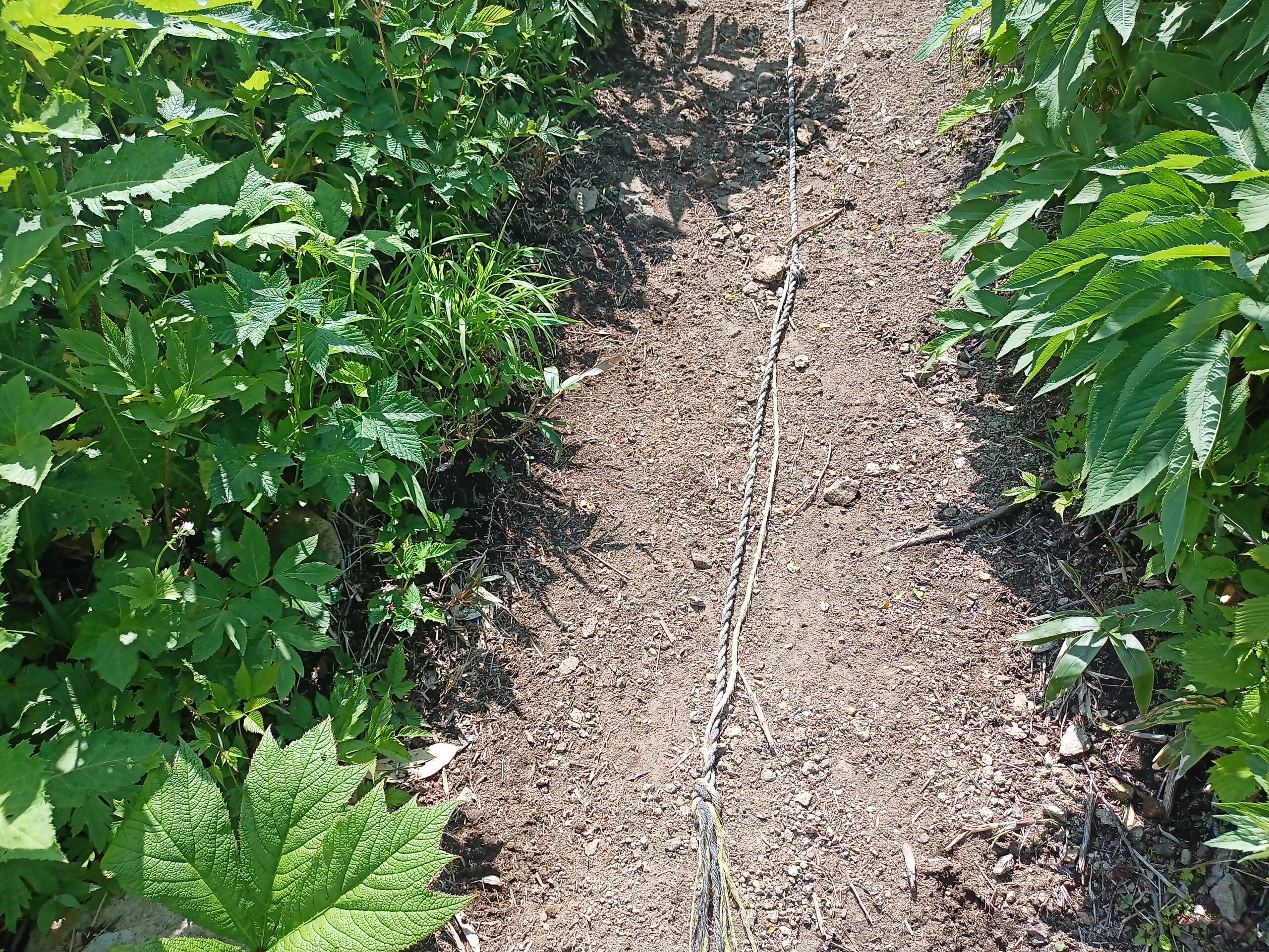 IMG_20240615_105105_871