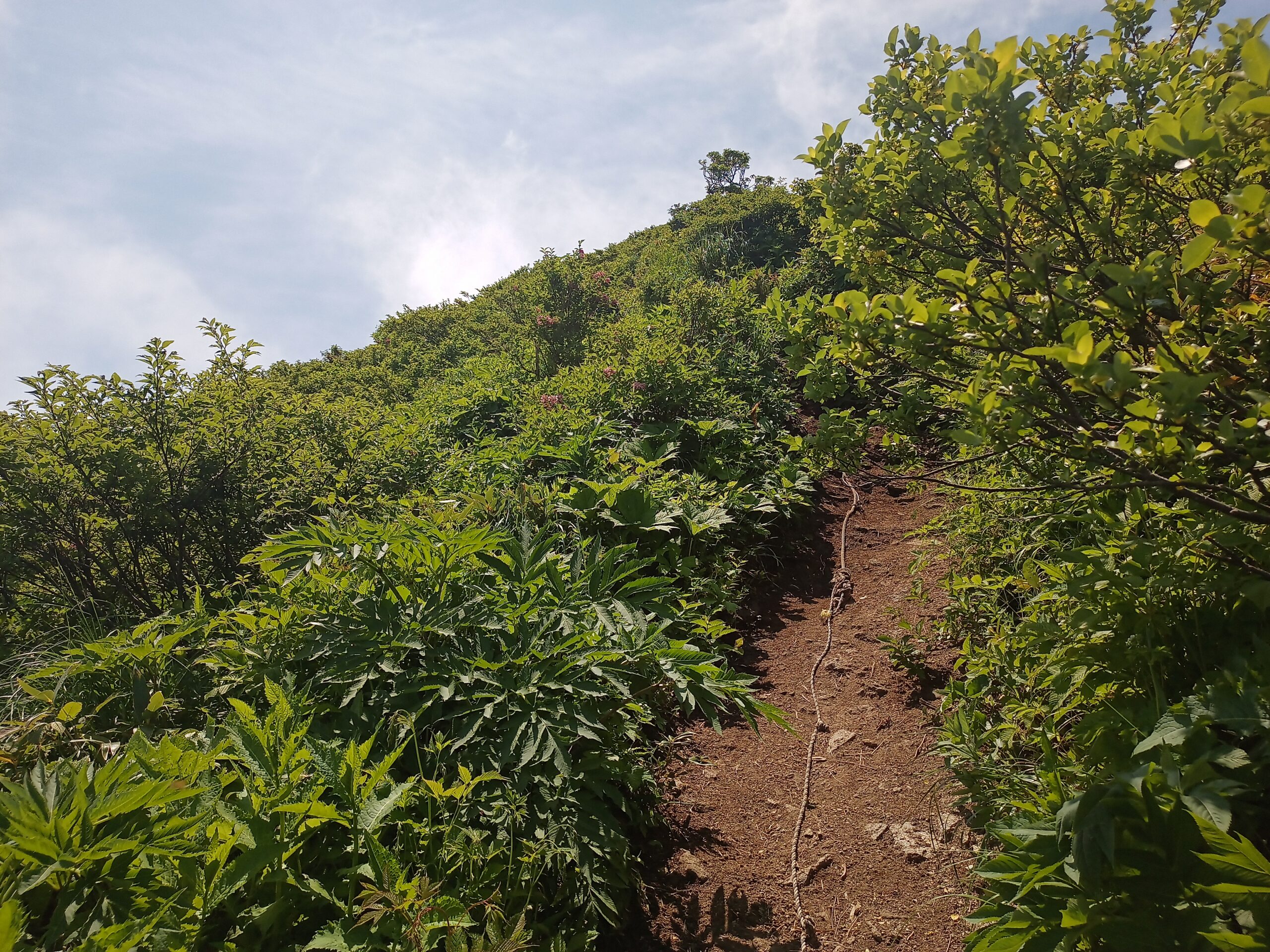 IMG_20240615_105109_521