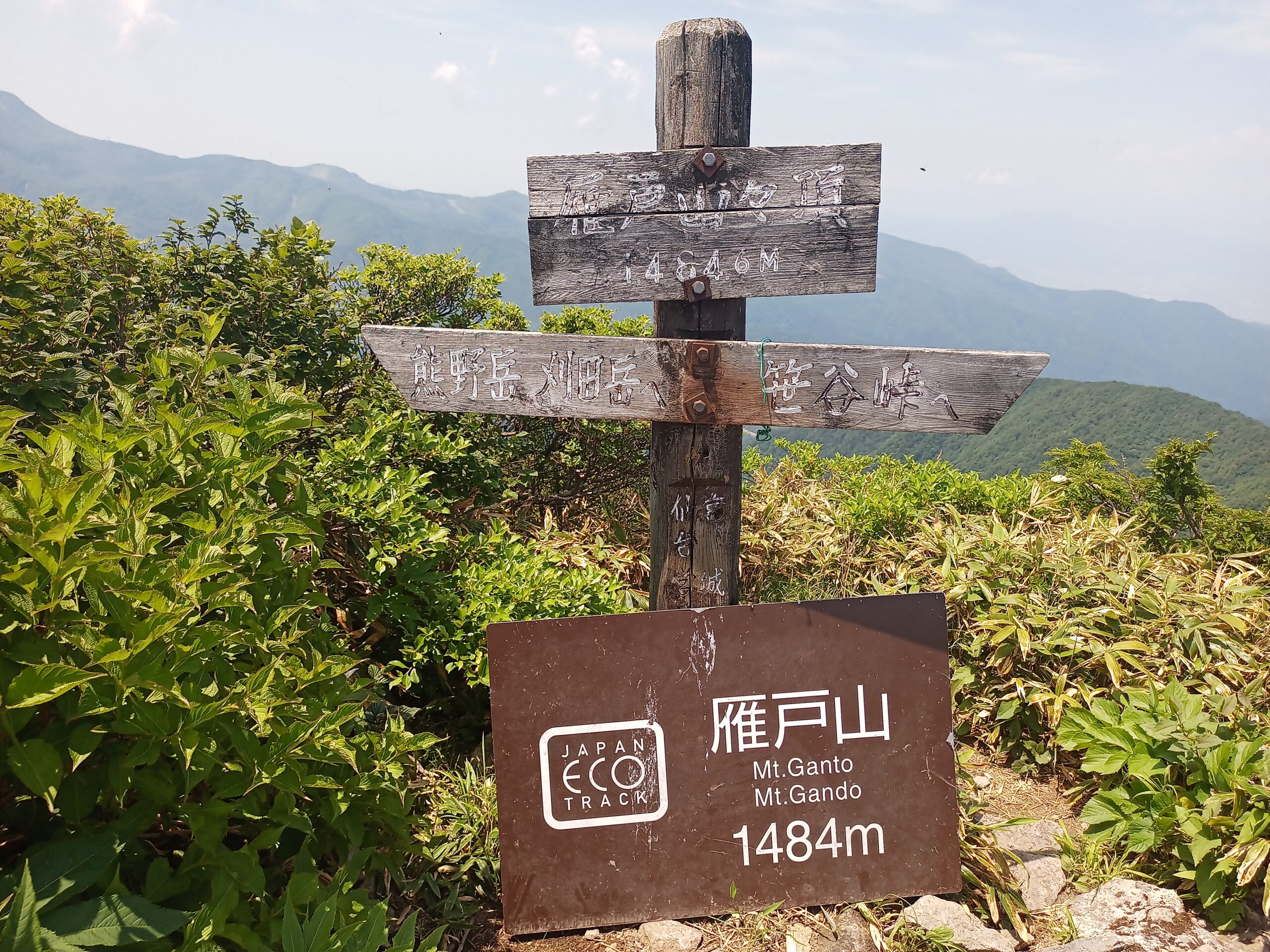 IMG_20240615_110309_943