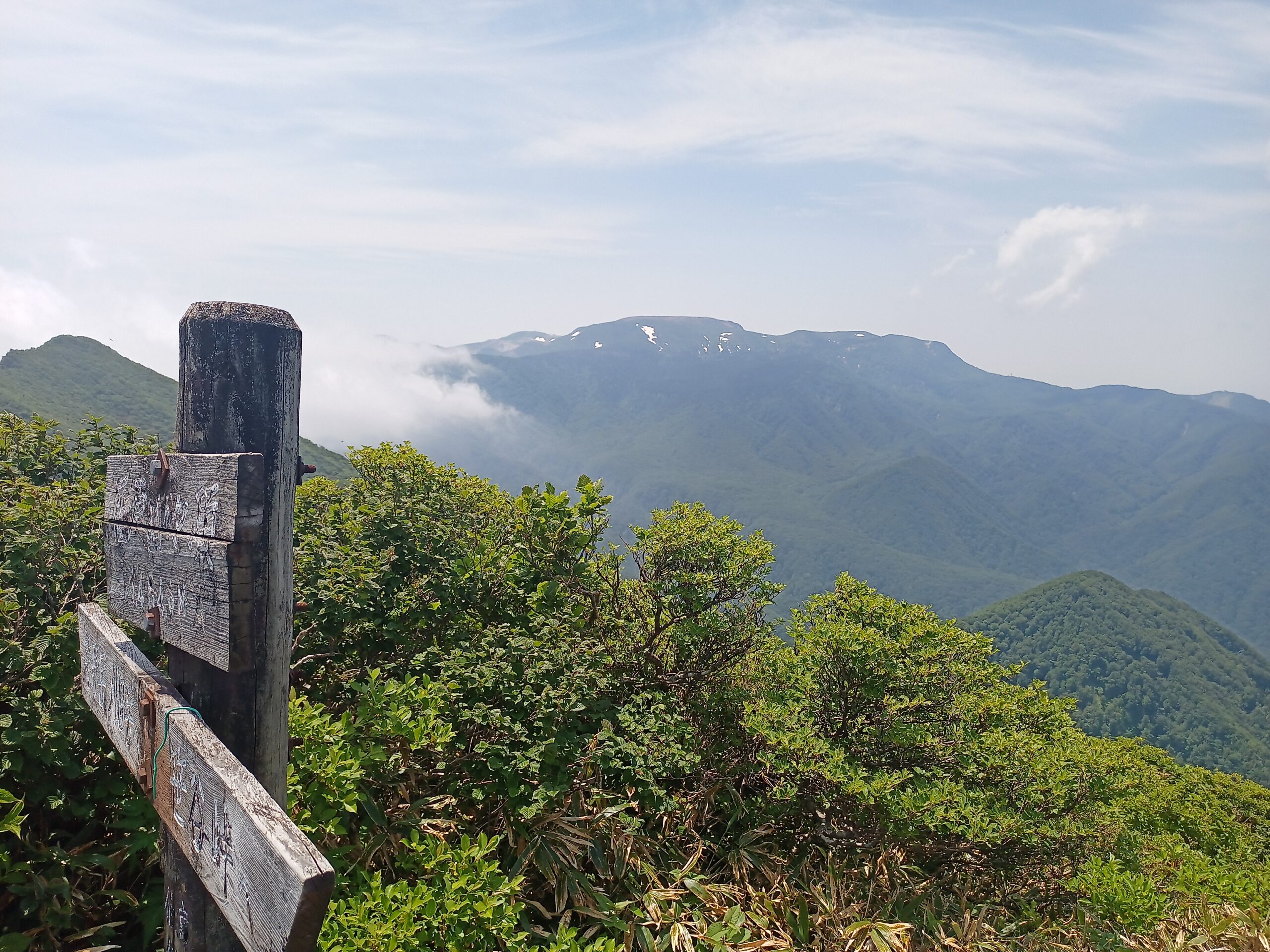 IMG_20240615_110343_046