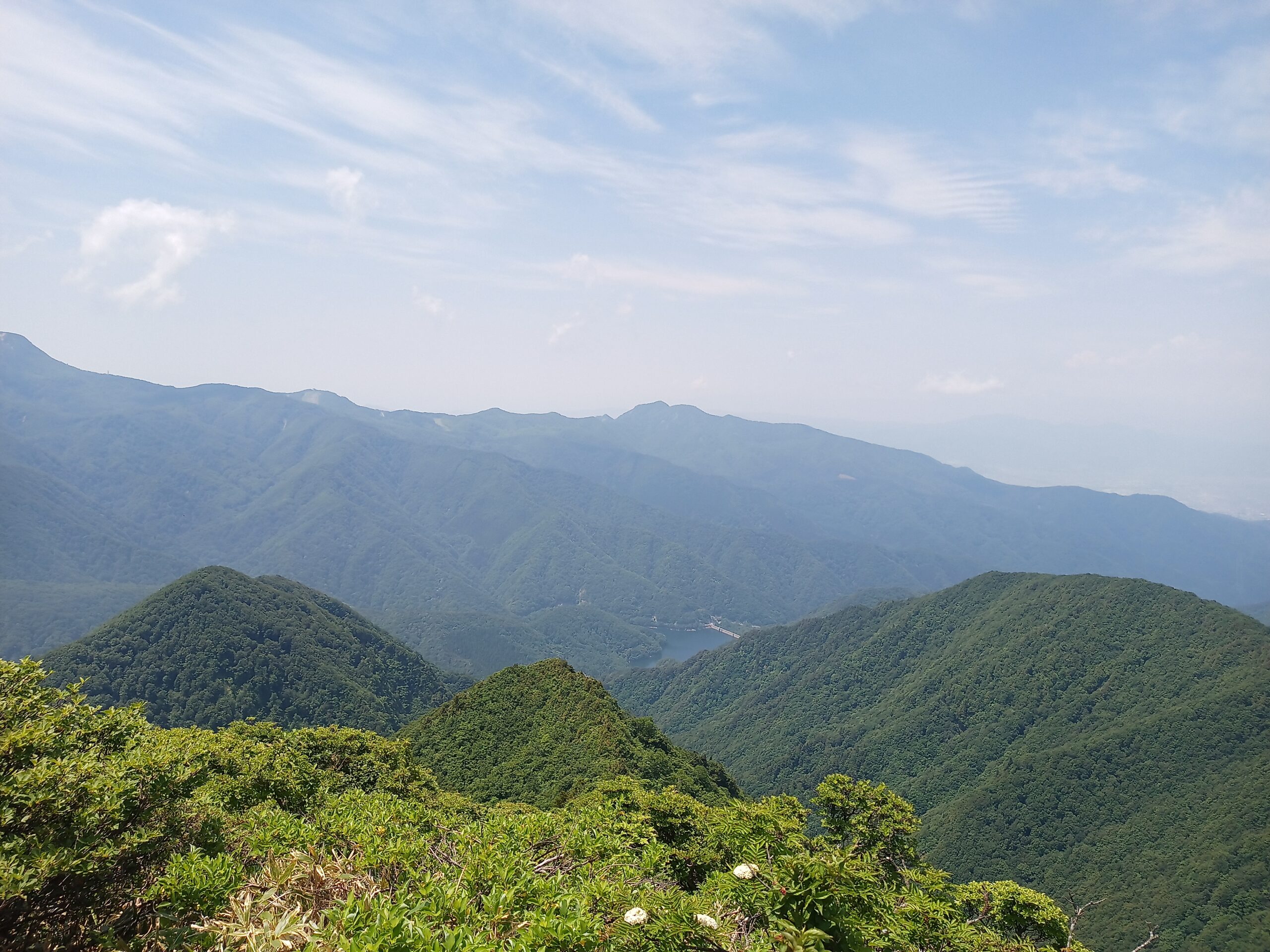 IMG_20240615_110346_239