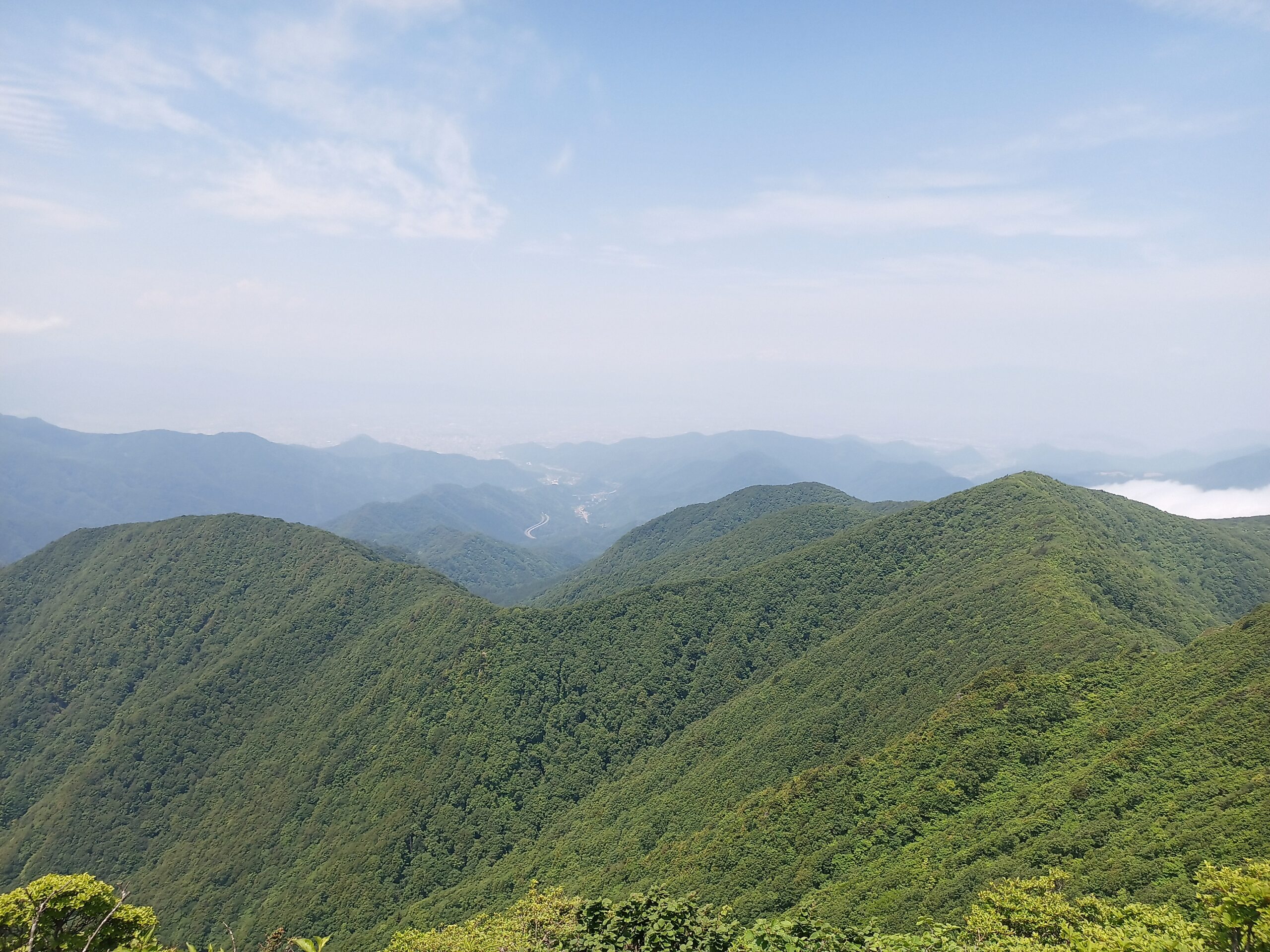 IMG_20240615_110349_433