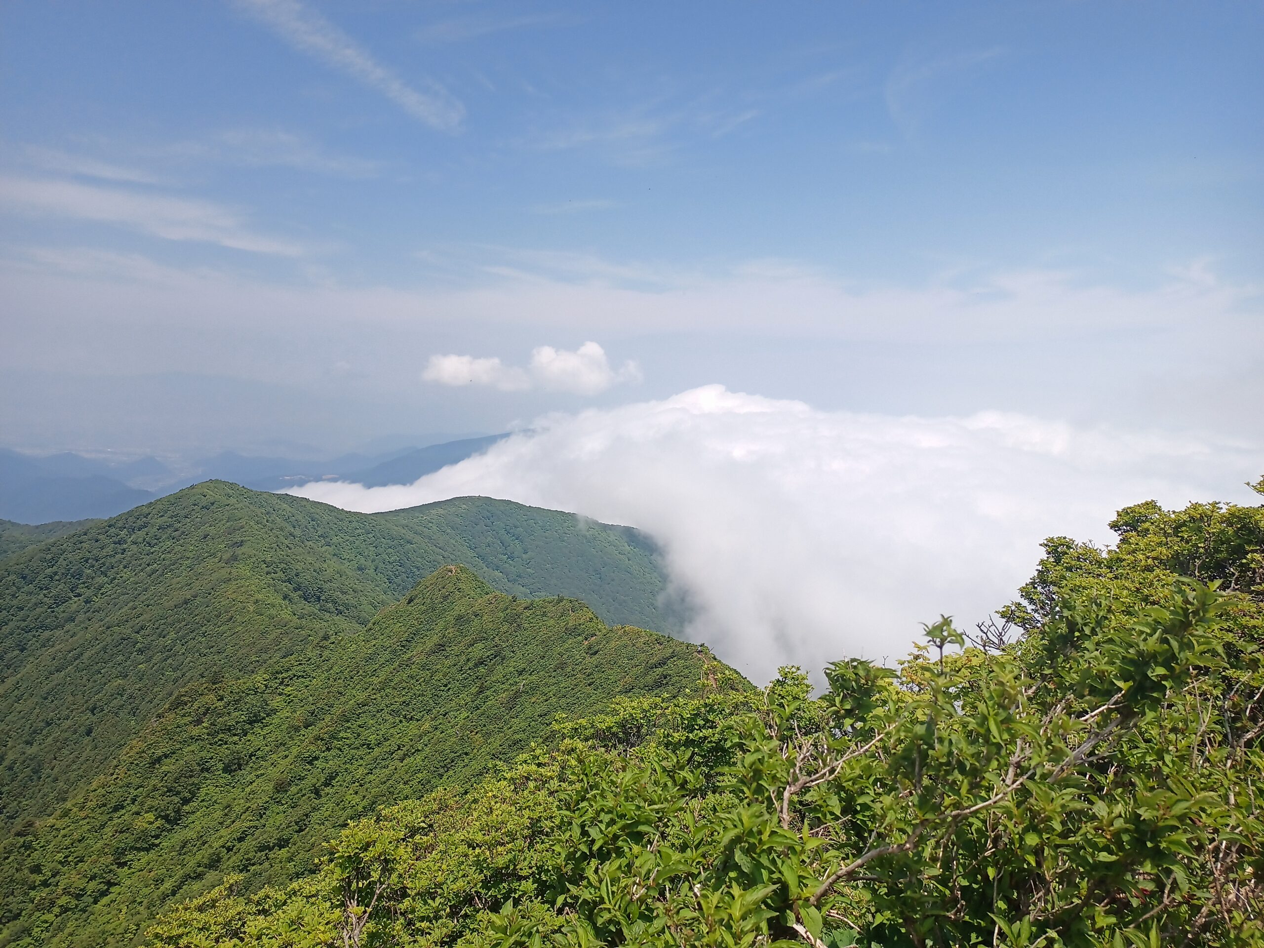 IMG_20240615_110352_024