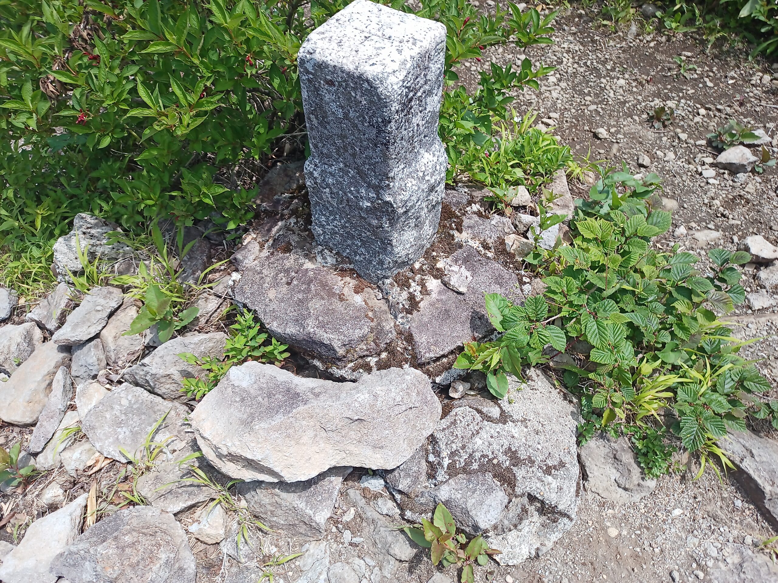 IMG_20240615_111218_476