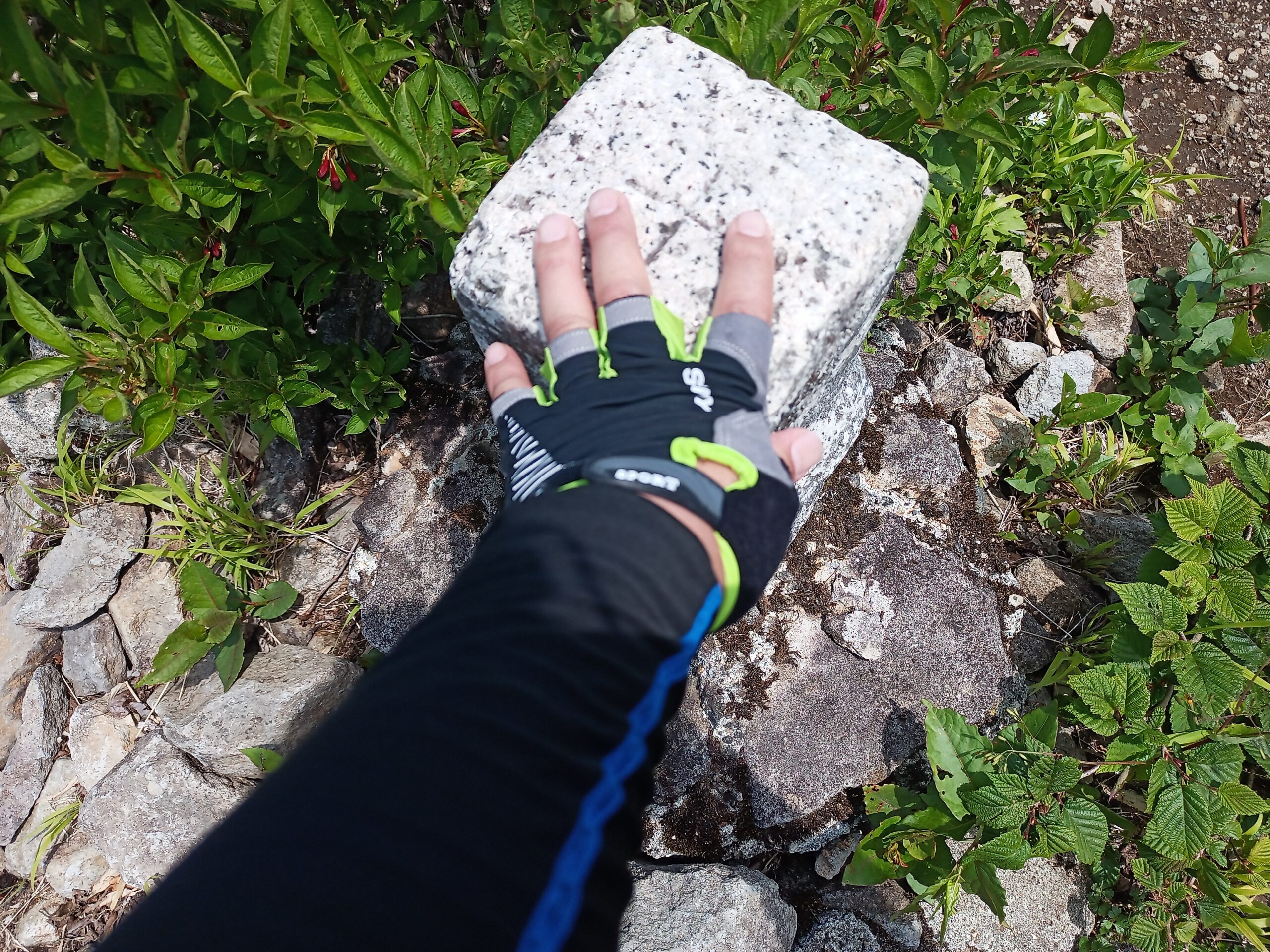 IMG_20240615_111239_972