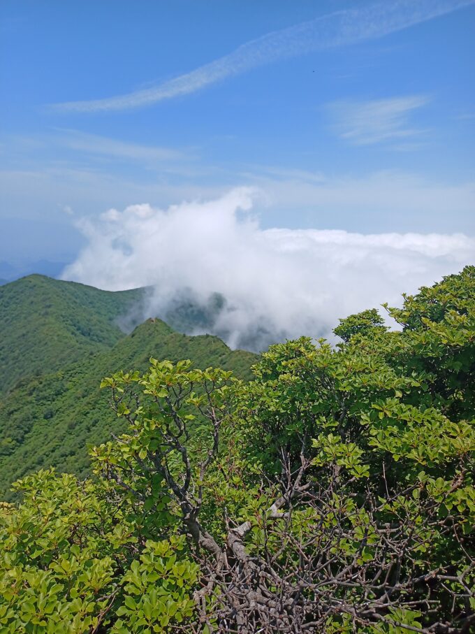 IMG_20240615_112143_990