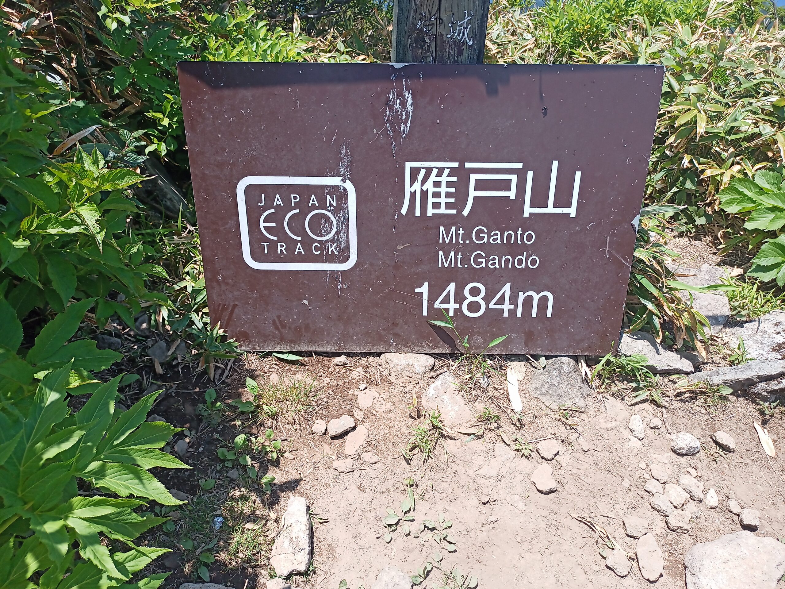 IMG_20240615_112435_554